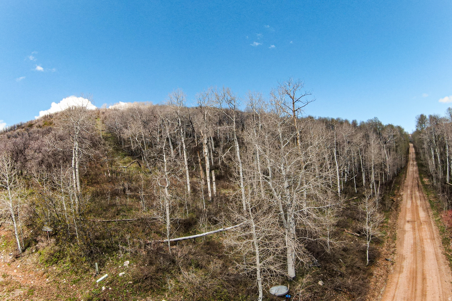CANYON RIM - Land