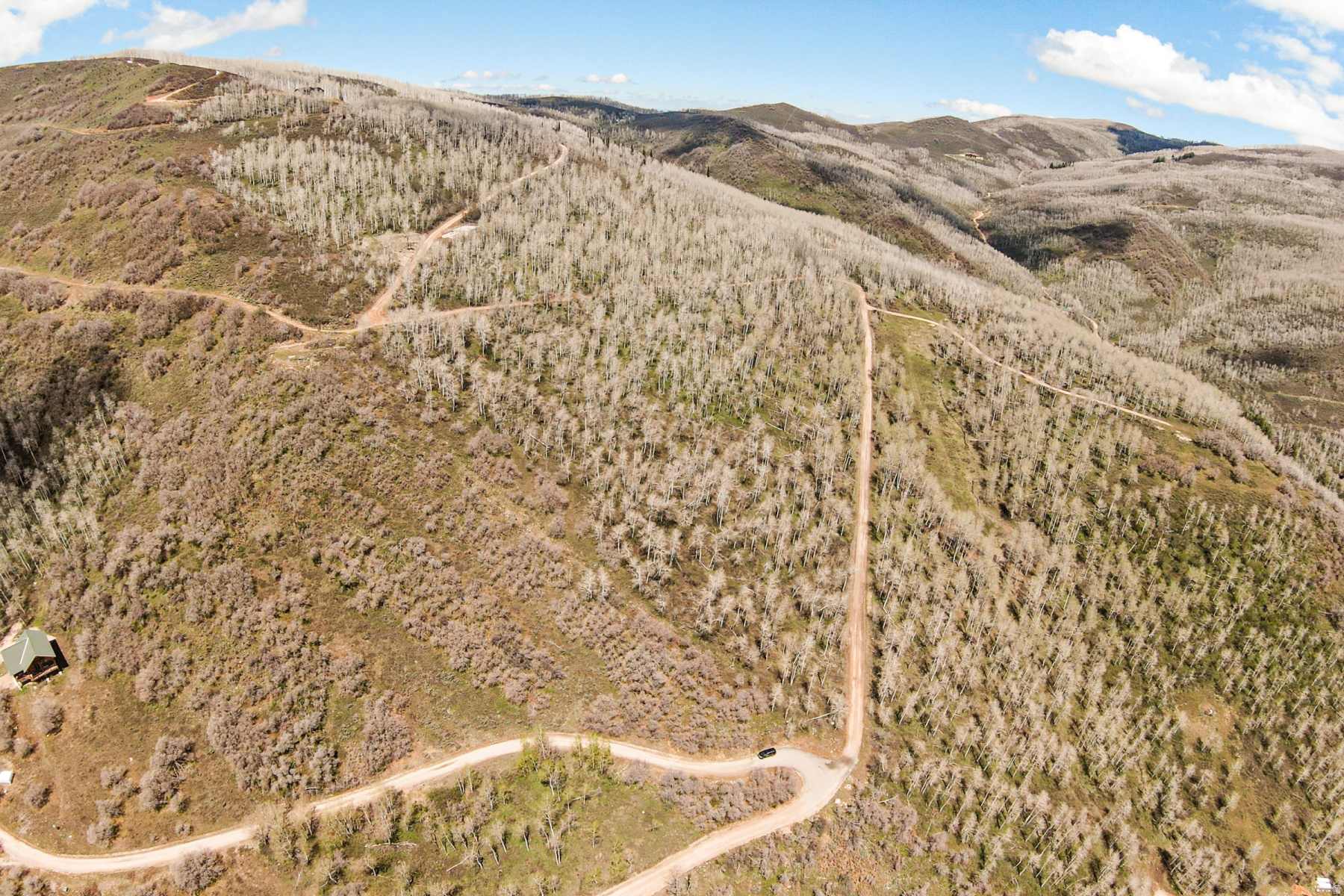 CANYON RIM - Land