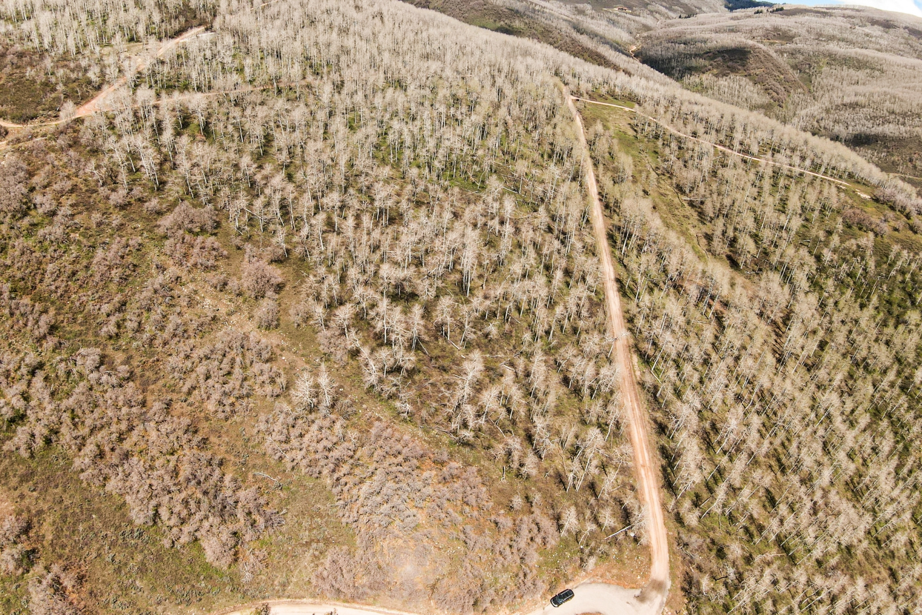 CANYON RIM - Land