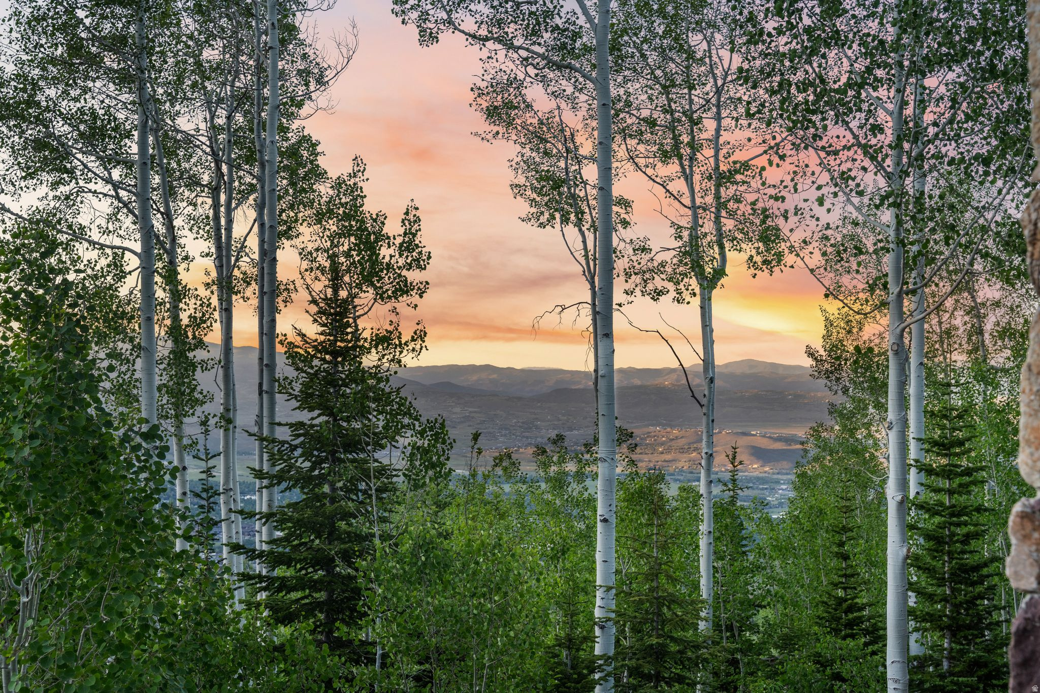 WHITE PINE CANYON PH II FINAL SUBDIVISIO - Residential