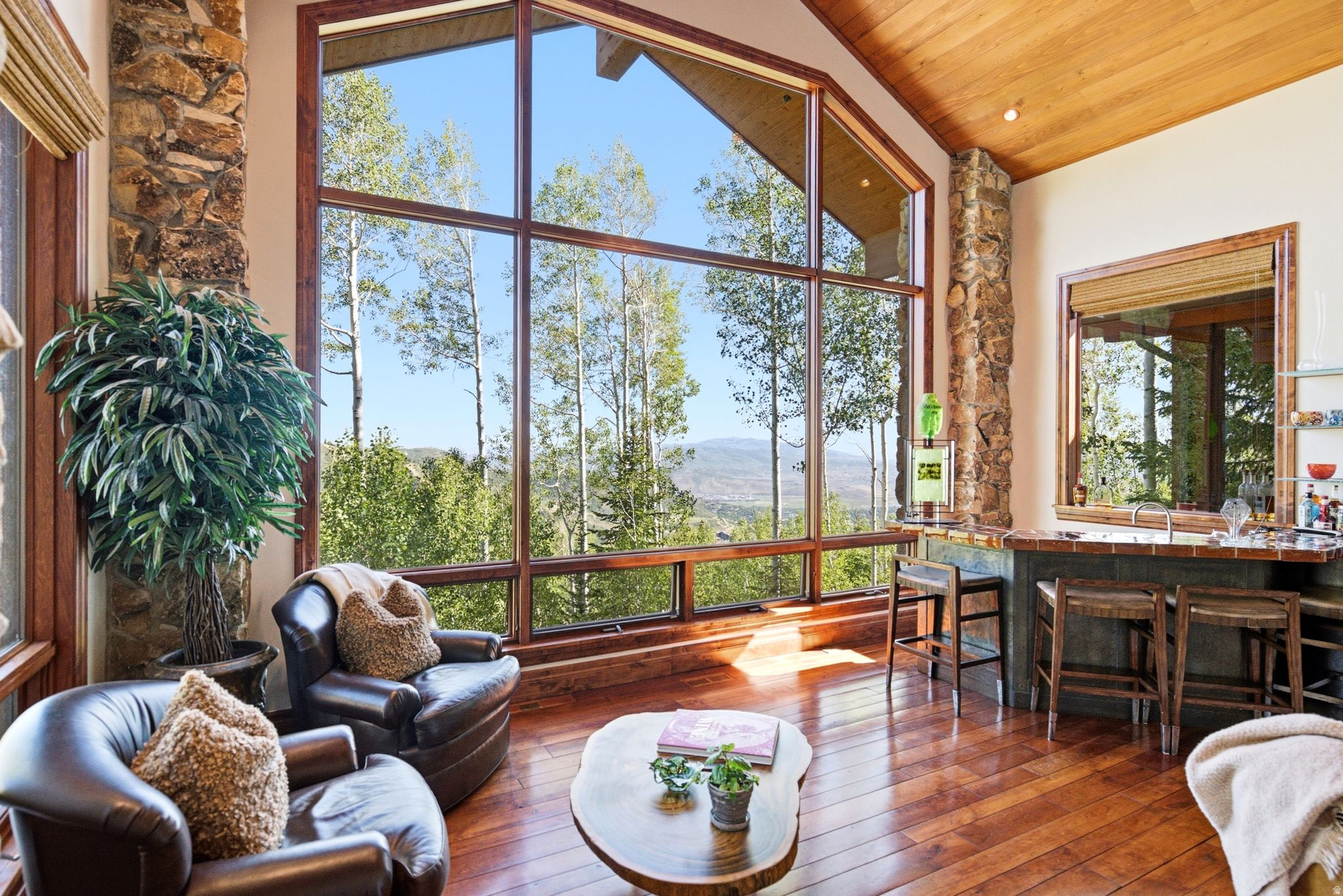 WHITE PINE CANYON PH II FINAL SUBDIVISIO - Residential