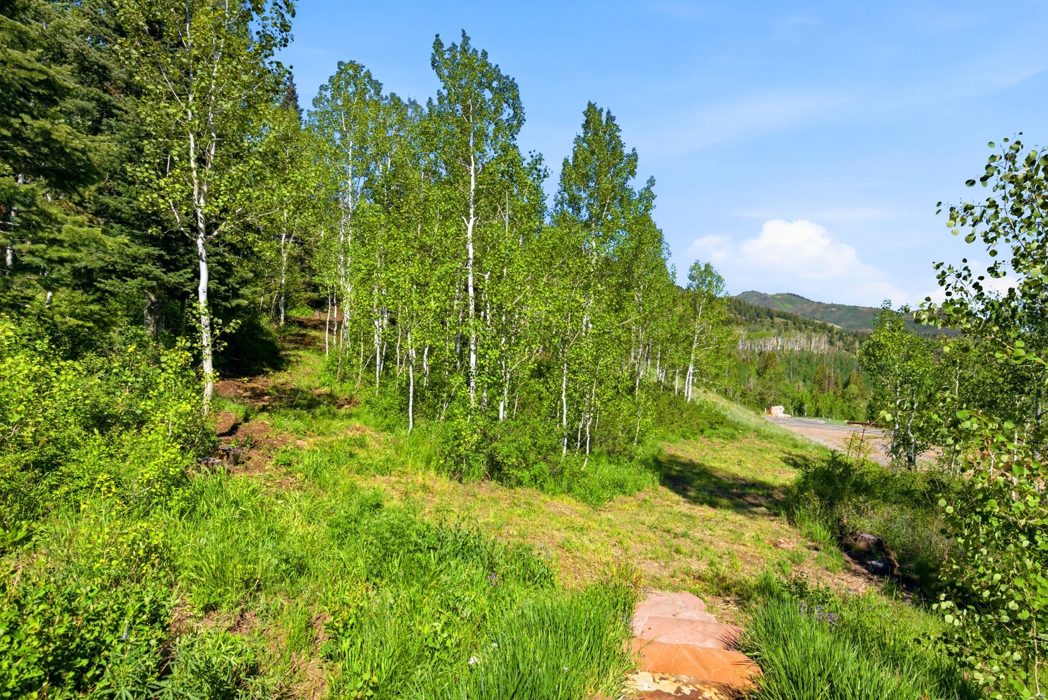 WHITE PINE CANYON PH II FINAL SUBDIVISIO - Residential