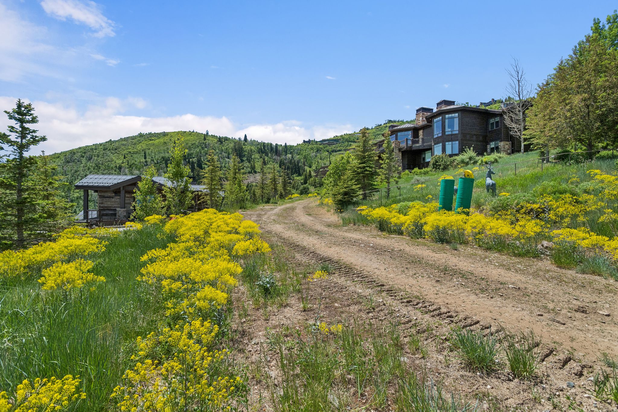 DEER CREST ESTATES - Residential