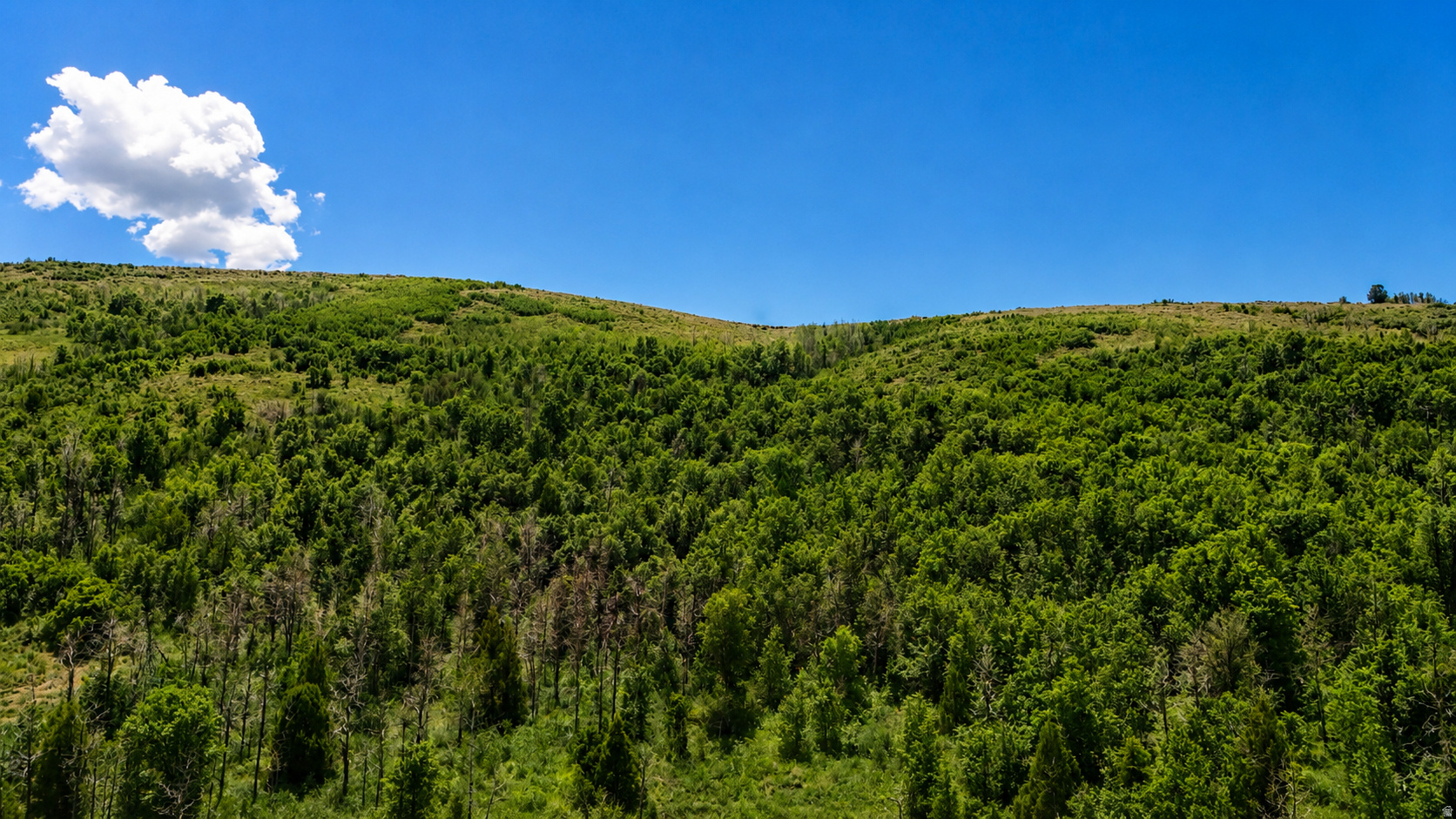 BENLOCH RANCH SUBDIVISION - Land