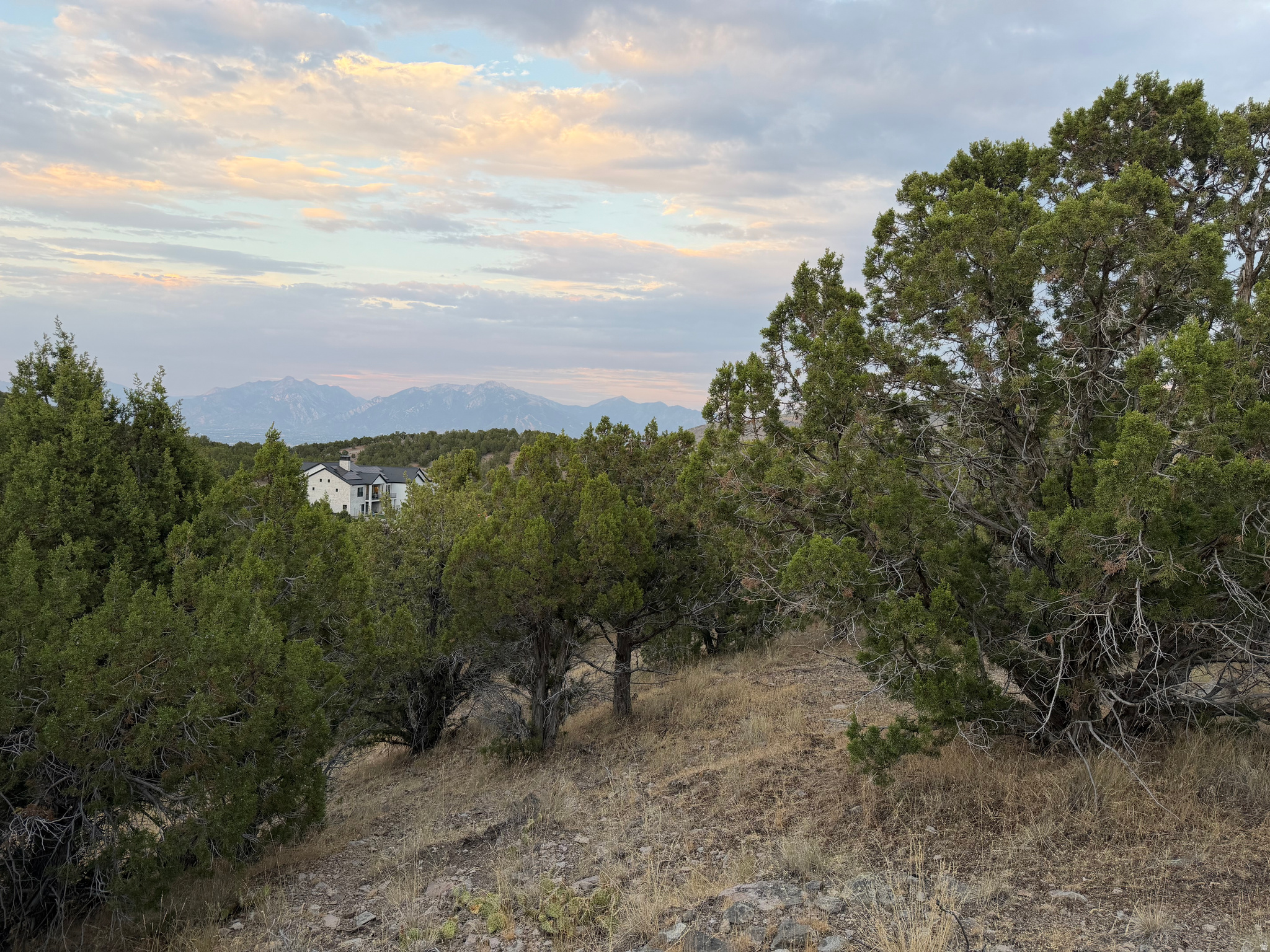 Build your dream mountain retreat on this incredible 3.11-acre homesite tucked into the highly desirable Shaggy Mountain community. Offering the perfect blend of privacy, natural beauty, and convenience, this buildable lot is surrounded by mature juniper trees, rolling terrain, and breathtaking mountain and valley views.  The property features multiple potential building locations that take advantage of the gently sloping topography while preserving the peaceful, wooded setting. Enjoy spectacular sunrises, colorful sunsets, abundant wildlife, and a true mountain lifestyle just minutes from Herriman's shopping, dining, schools, and recreation.  Utilities are conveniently stubbed along Shaggy Mountain Road.  Whether you envision a luxury custom home, mountain escape, or forever residence, this rare parcel offers the space and flexibility to bring your vision to life.  With over 3 acres of usable land, you'll have room for outdoor living, additional garage space, RV parking, gardens, or simply the privacy that's becoming increasingly difficult to find along the Wasatch Front.  If you've been searching for the perfect combination of seclusion, views, and accessibility, this exceptional homesite deserves a closer look.  Buyer to verify all information, including utilities, building requirements, lot boundaries, and intended use. The attached topographic map illustrates the property's natural terrain and contours.   Water shares