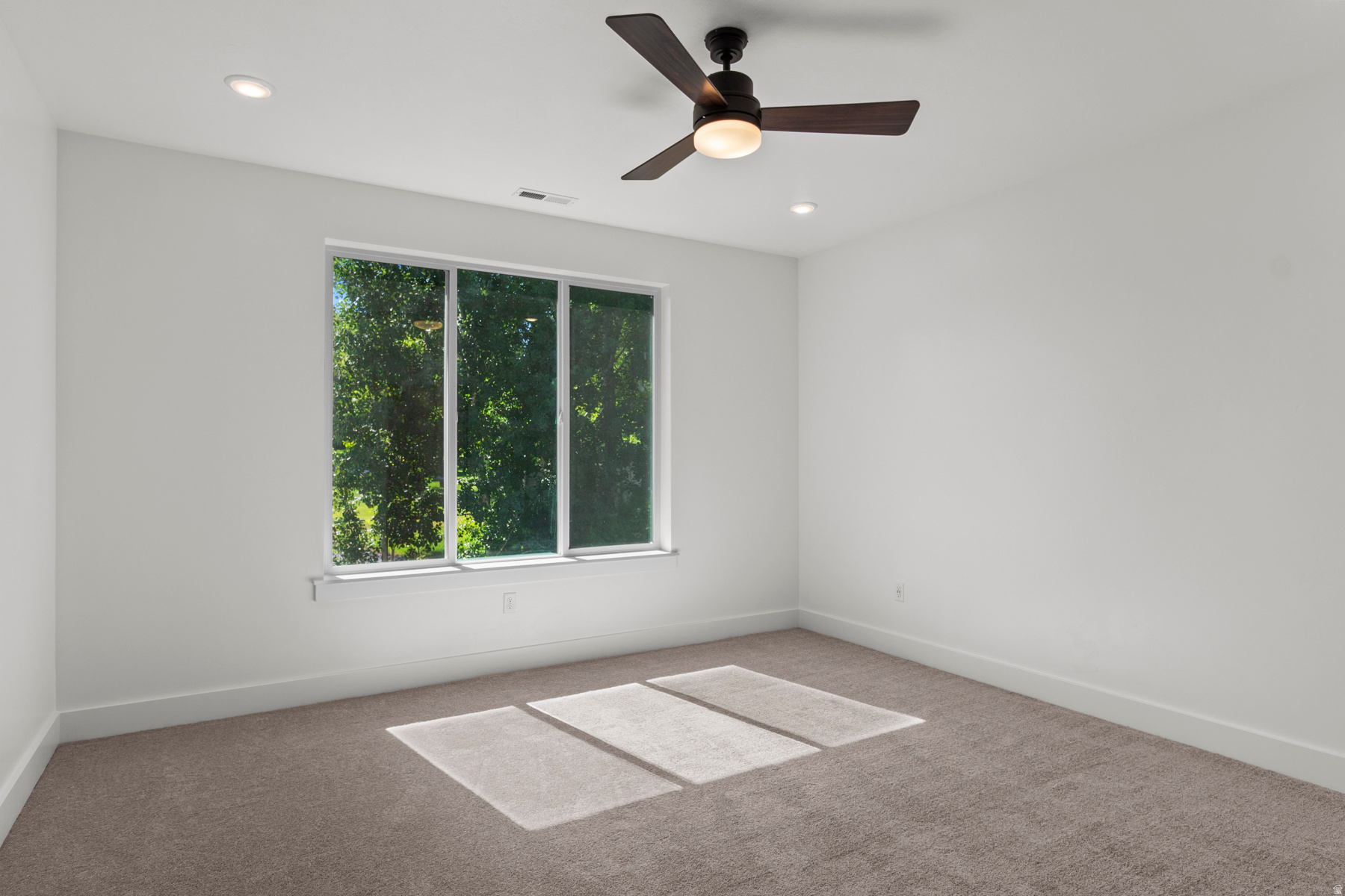 MEADOWS AT HYDE PARK - Residential