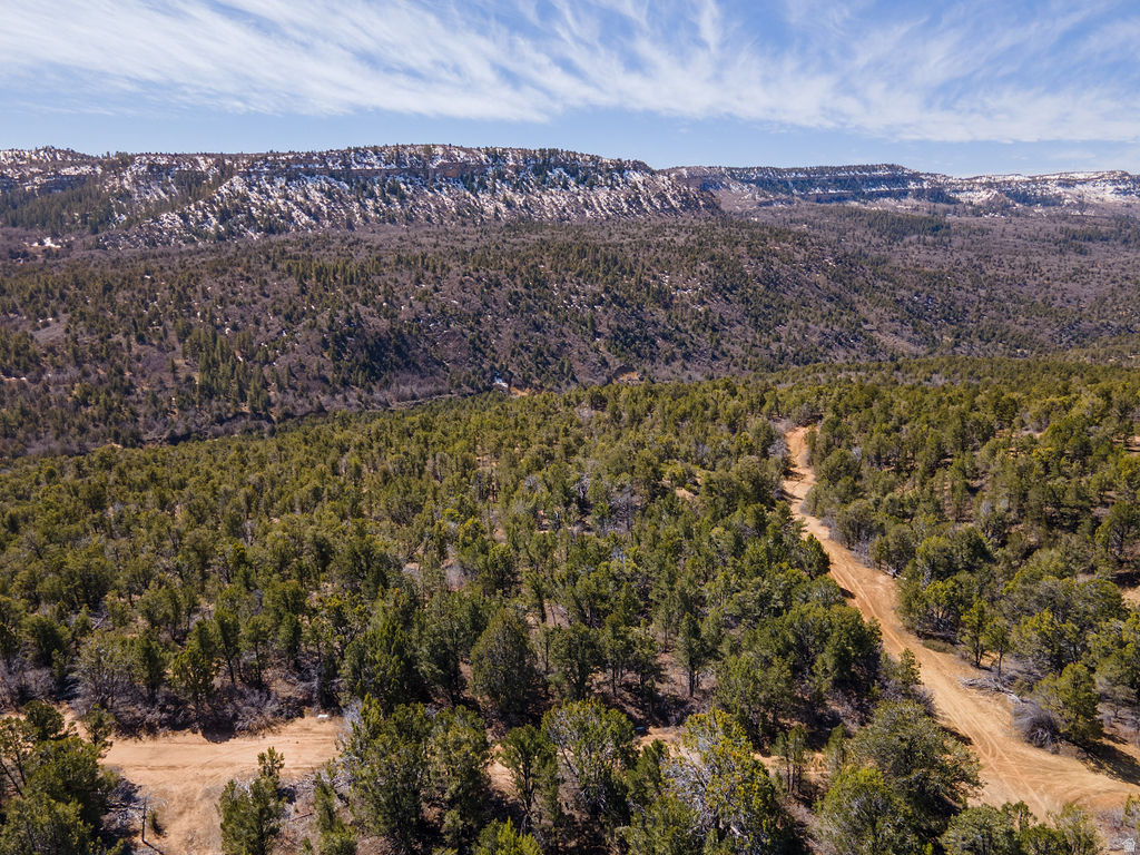 COUGAR CANYON - Land