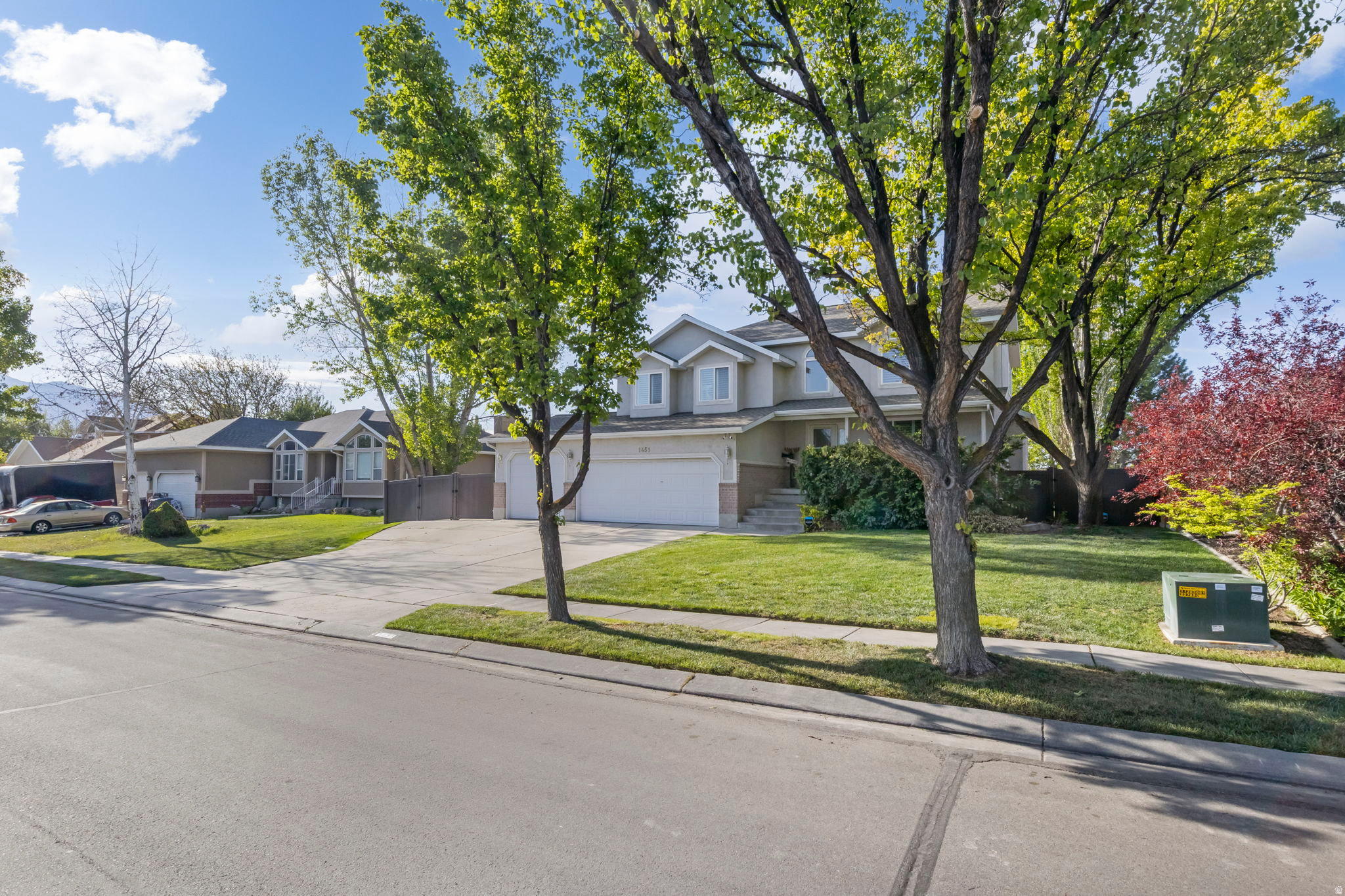 BORGS MTN VIEW ESTAT - Residential