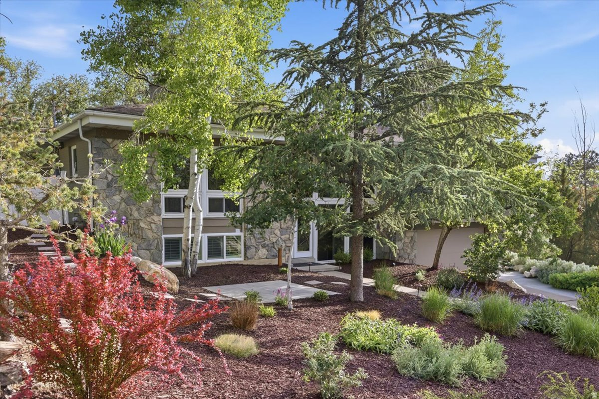 OAKCLIFF PARK - Residential