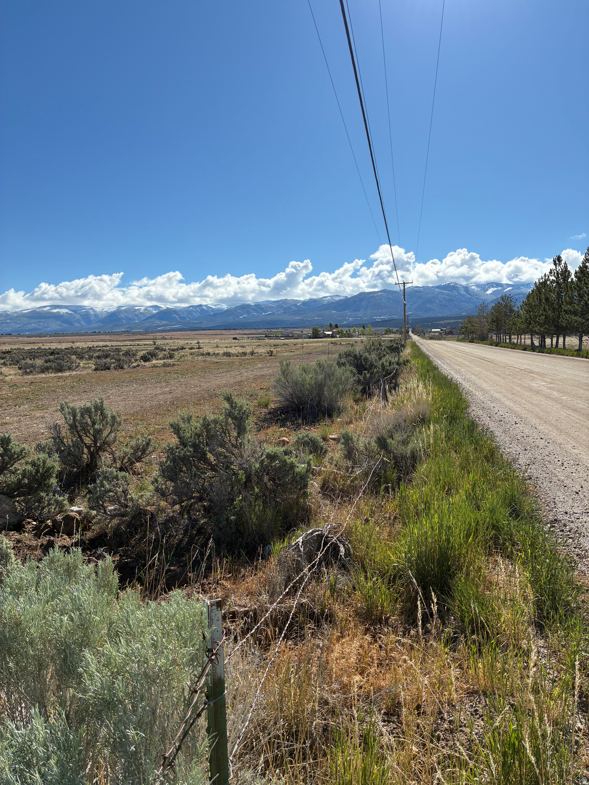 2.5 Acre Lot on 950 North Street in Spring City aka 15000 North Road in Sanpete County. New sewer line runs inside lot along south side. Water available across the street, Electrical lines run along the south side. Horseshoe Company pressurized rrigation on site. One Share is available for purchase at going rate. Lot is in Sanpete County Buffer Zone adjacent to Spring City, so Spring City water and sewer are available upon annexation.  This lot includes a 2" Spring City culinary water line.