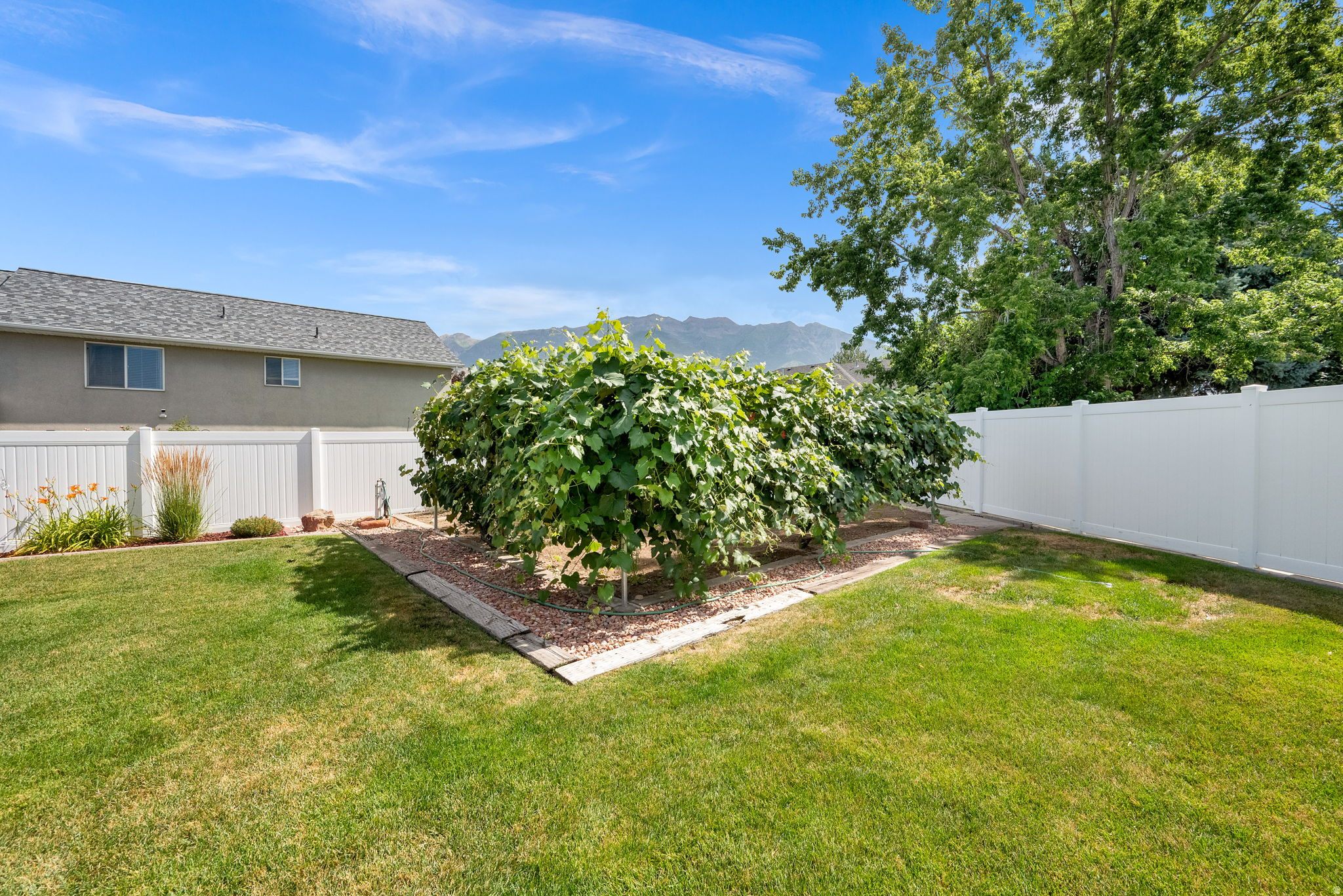 MEADOW CREST - Residential