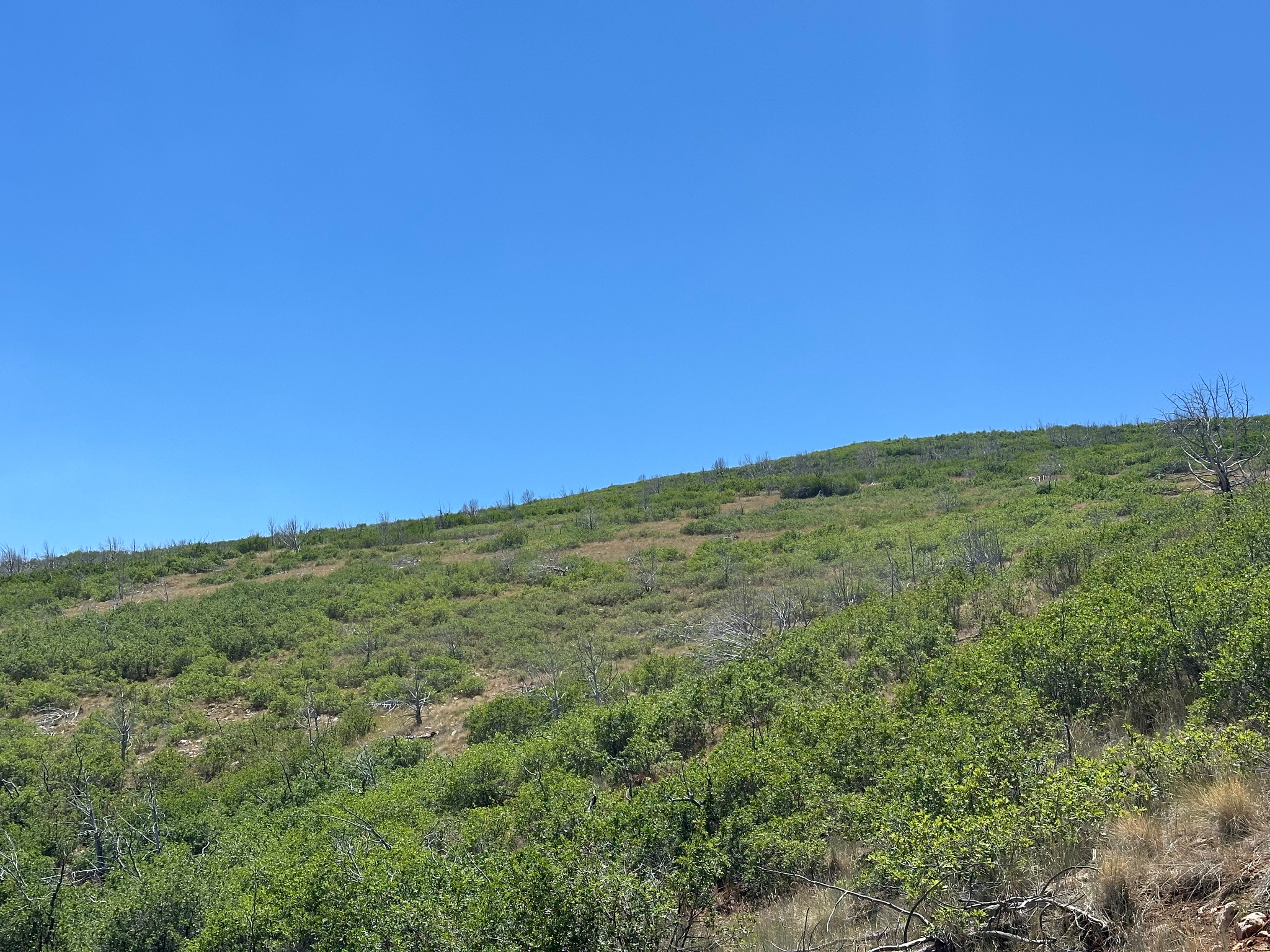 INDIAN RIDGE - Land