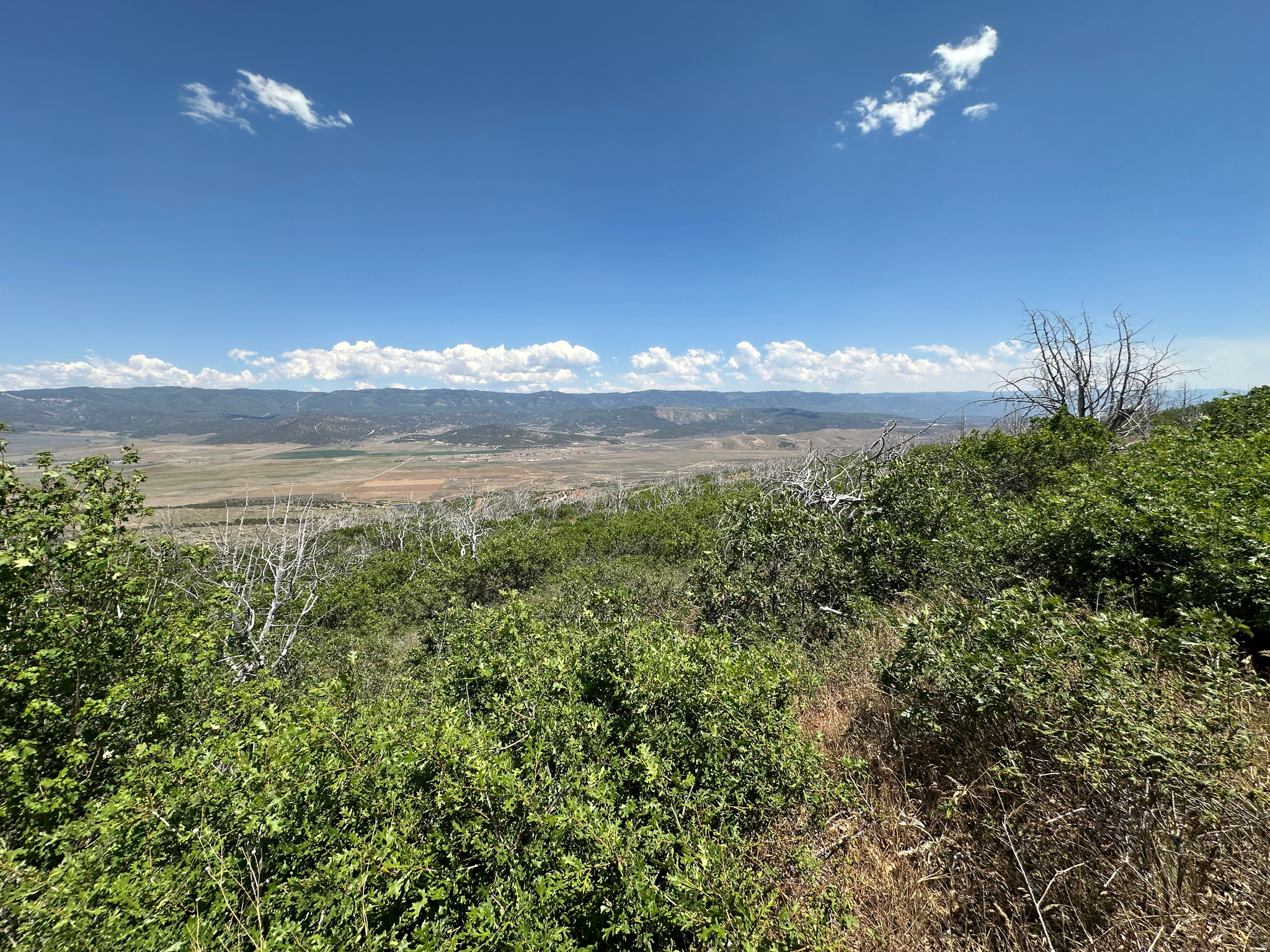 Incredible panoramic views and endless outdoor adventure await at Indian Ridge POA, Lot R26! This premier recreational parcel is the ultimate blank canvas for your mountain getaway, cabin build, or basecamp for weekend trail riding, hiking, and exploring. Situated in a highly desirable area of the community, this lot offers the perfect blend of high-country seclusion and accessibility.  The property is uniquely positioned for convenience: community water is available directly at the property line, saving you the massive expense of drilling a private well (buyer to pay the connection/hookup fee to the POA). Power options are nearby, or you can design a custom off-grid solar oasis. Enjoy pristine starry nights, cool mountain breezes, and unbeatable scenery. Don't miss this opportunity to secure your piece of paradise in Indian Ridge. Buyer to verify all utilities, boundaries, and POA rules