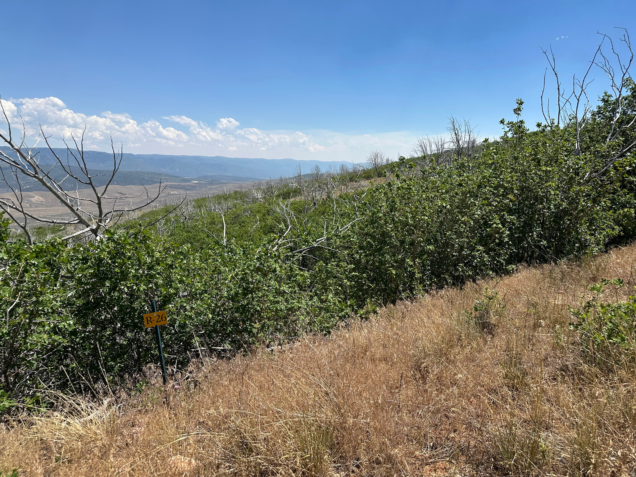 INDIAN RIDGE - Land