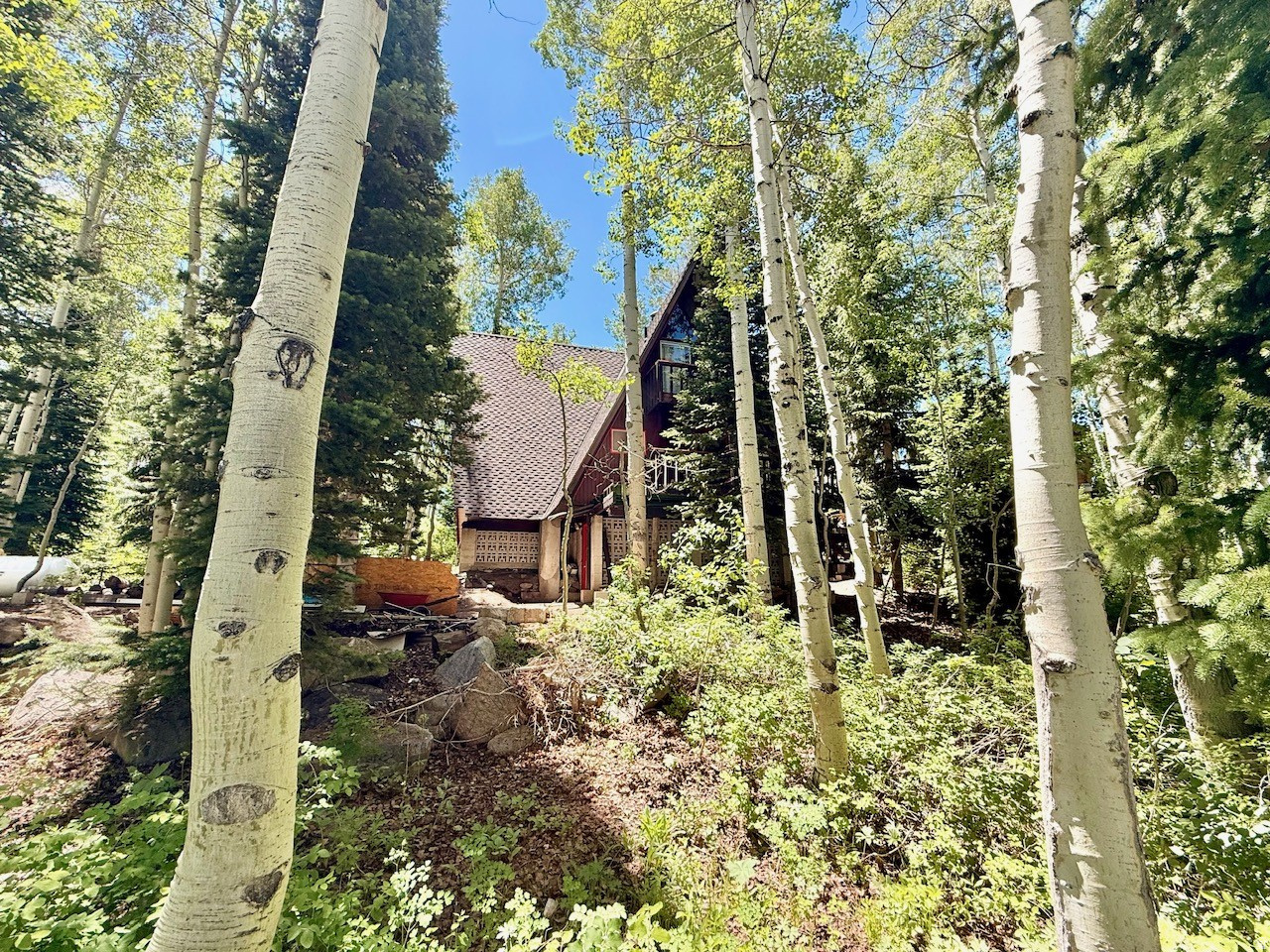 Incredible opportunity for those with ambitious energy to bring this Grand Lady of Forest Glen back to life.  Perched high in the trees sits a generous A-frame with beautiful open spaces.  Power, water, and septic system are in place and connected along with the original propane furnace. Now, the "ambitious part"... the cabin is currently in rough condition and needs a lot of TLC to get it back in shape.  This is an estate sale and the owners intend to sell it As-Is Where-Is.  During the big winter of 2023 there was too much weight on the main deck and it failed and was removed.  Through an insurance claim, the concrete pillars were replaced but the deck has not been rebuilt or connected to the other decks.  That said, A BRAND NEW roof was put on and structurally engineered as part of that insurance claim.  Everything else is original to 1968 and has some charm... but needs attention.  This has been used as a summer cabin only so the water line would need to be buried deeper to gain year-round use.  The Forest surrounds this property with incredible access to world class recreation and ski resorts at your doorstep.  This part of BCC is highly sought after... close to the resorts but not in the traffic or noise corridor of the busy resorts.  Family is sad to part with "Dad's special place" but now is the time for you to make it your own!