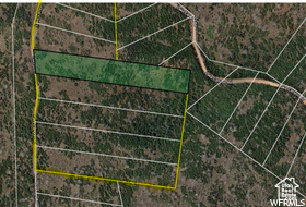 2 acre recreational or cabin lot in Indian Ridge with an awesome view in the seasonal area. Adjacent lots are available as well. This lot has been surveyed. No need to race to and compete for a public camp-spot when you own your own little piece of heaven. About 7000' elevation. Enjoy the starlit nights and abundant wildlife. POA dues are only $10 per month. Power and water are NOT available at this location. POA does not allow livestock or fencing. This area was burned in 2012 in the Wood Hollow Fire so the big trees are gone but the new trees are growing. Map is correct.