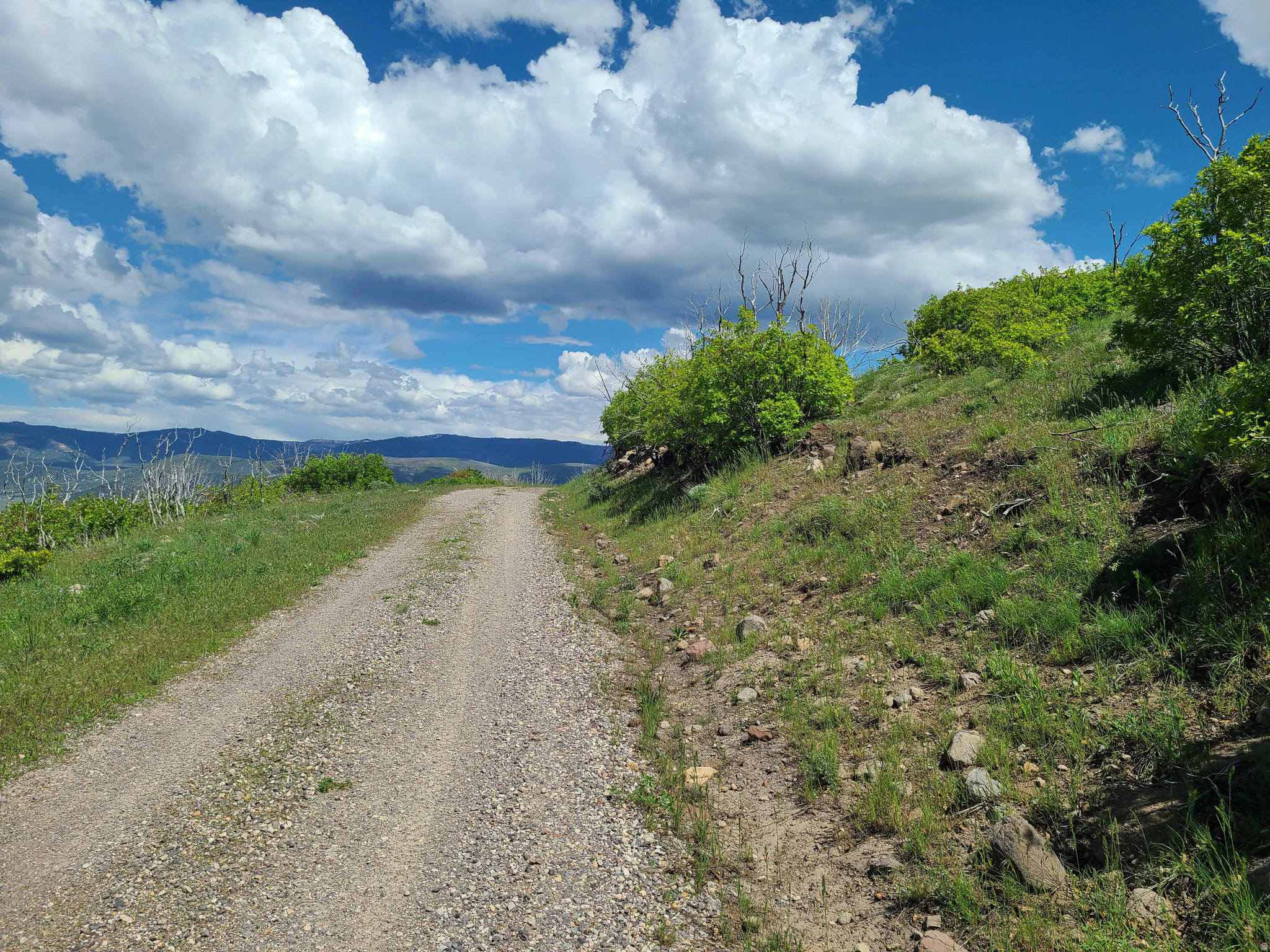 Lot C5 containing 1.02 acres in the Indian Ridge Subdivision. Located on nearly flat ground and very close to the main road. All of this property is useable. Good road access to property with nearly year round access near the entrance to the subdivision.