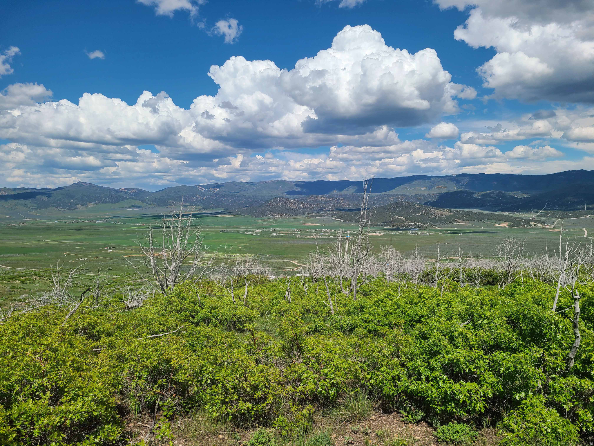 INDIAN RIDGE - Land