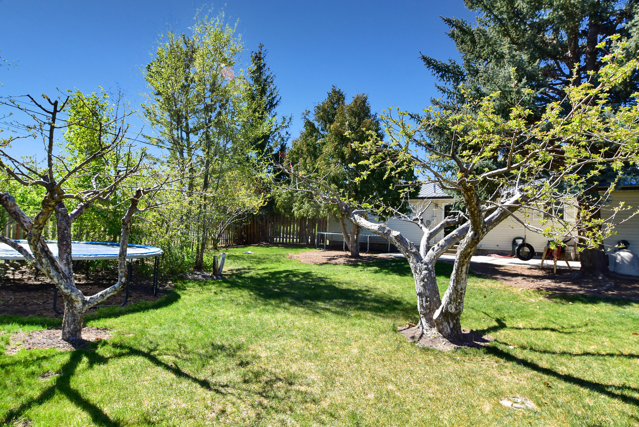 TOWNSITE OF DOWNEY - Residential