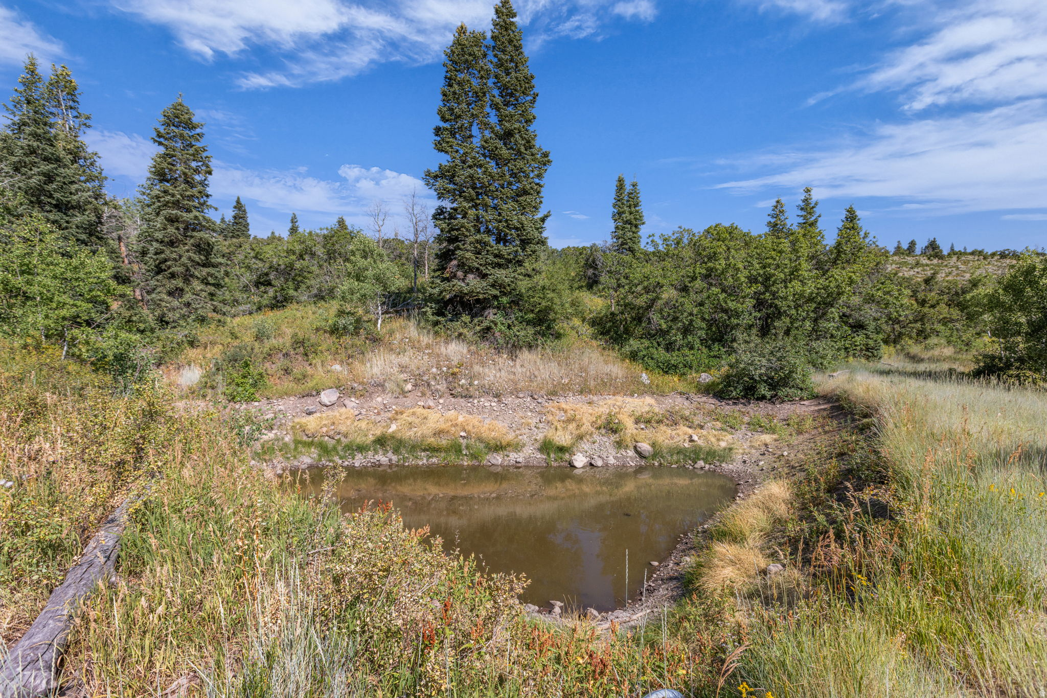 FOREST MEADOWS - Land