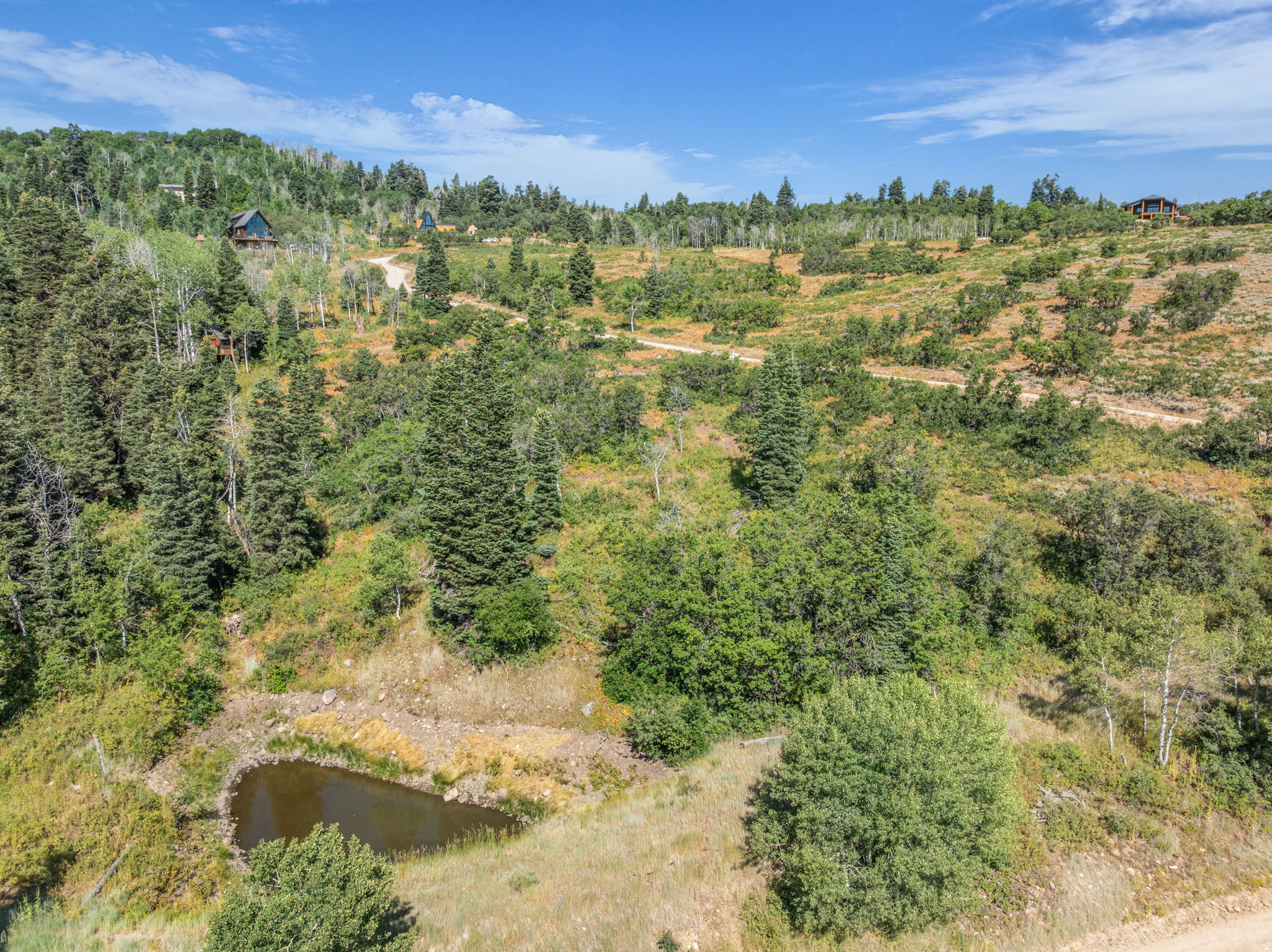 FOREST MEADOWS - Land