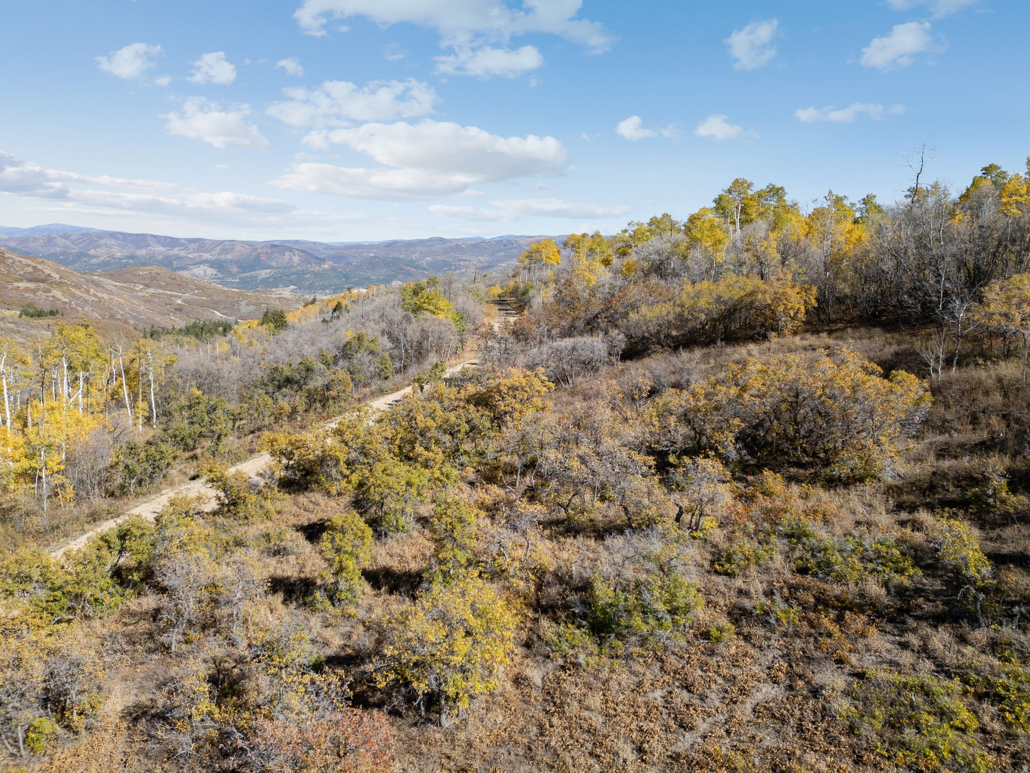 FOREST MEADOW RANCH SUBDIVISION - Land