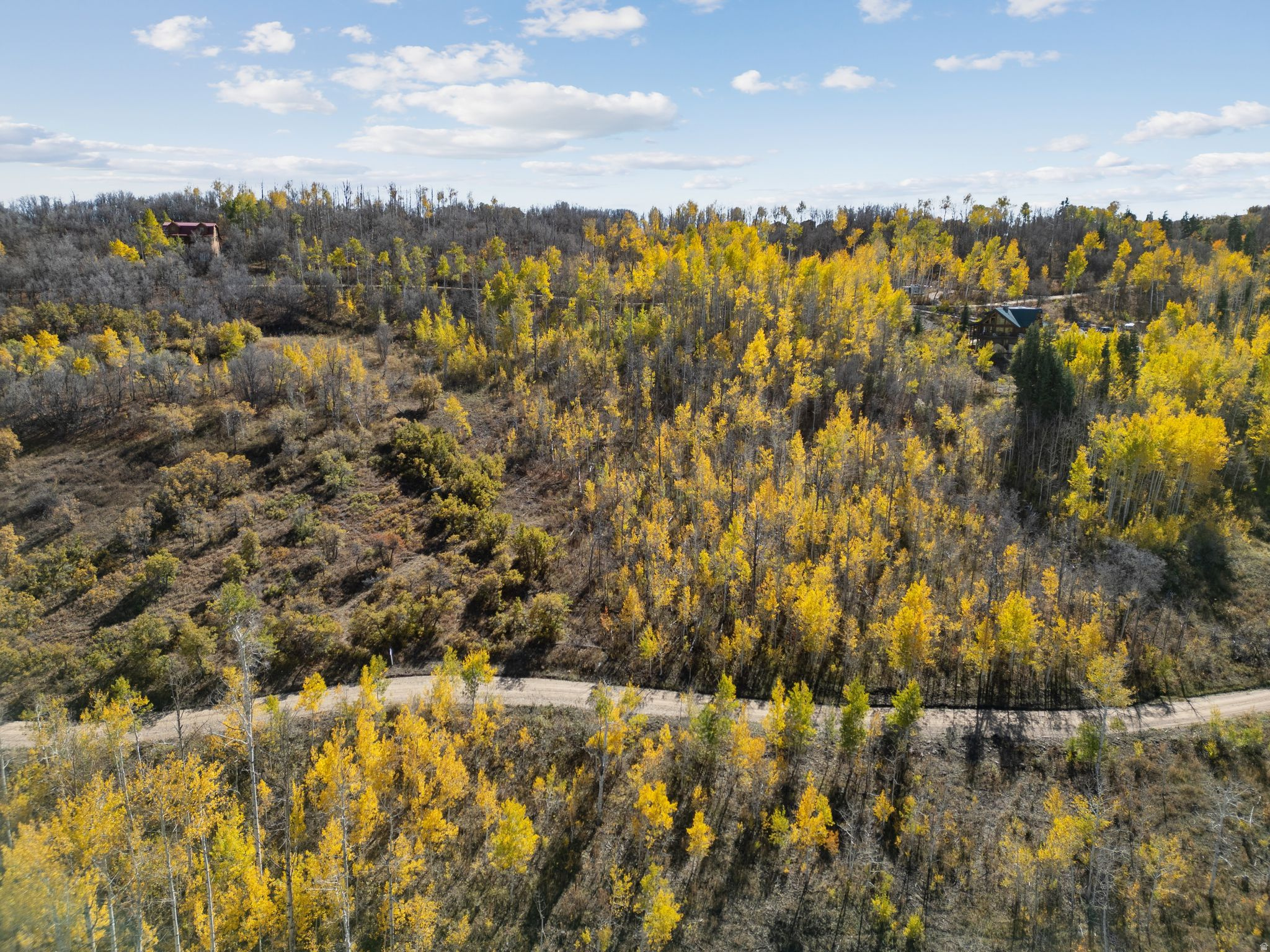 FOREST MEADOW RANCH SUBDIVISION - Land