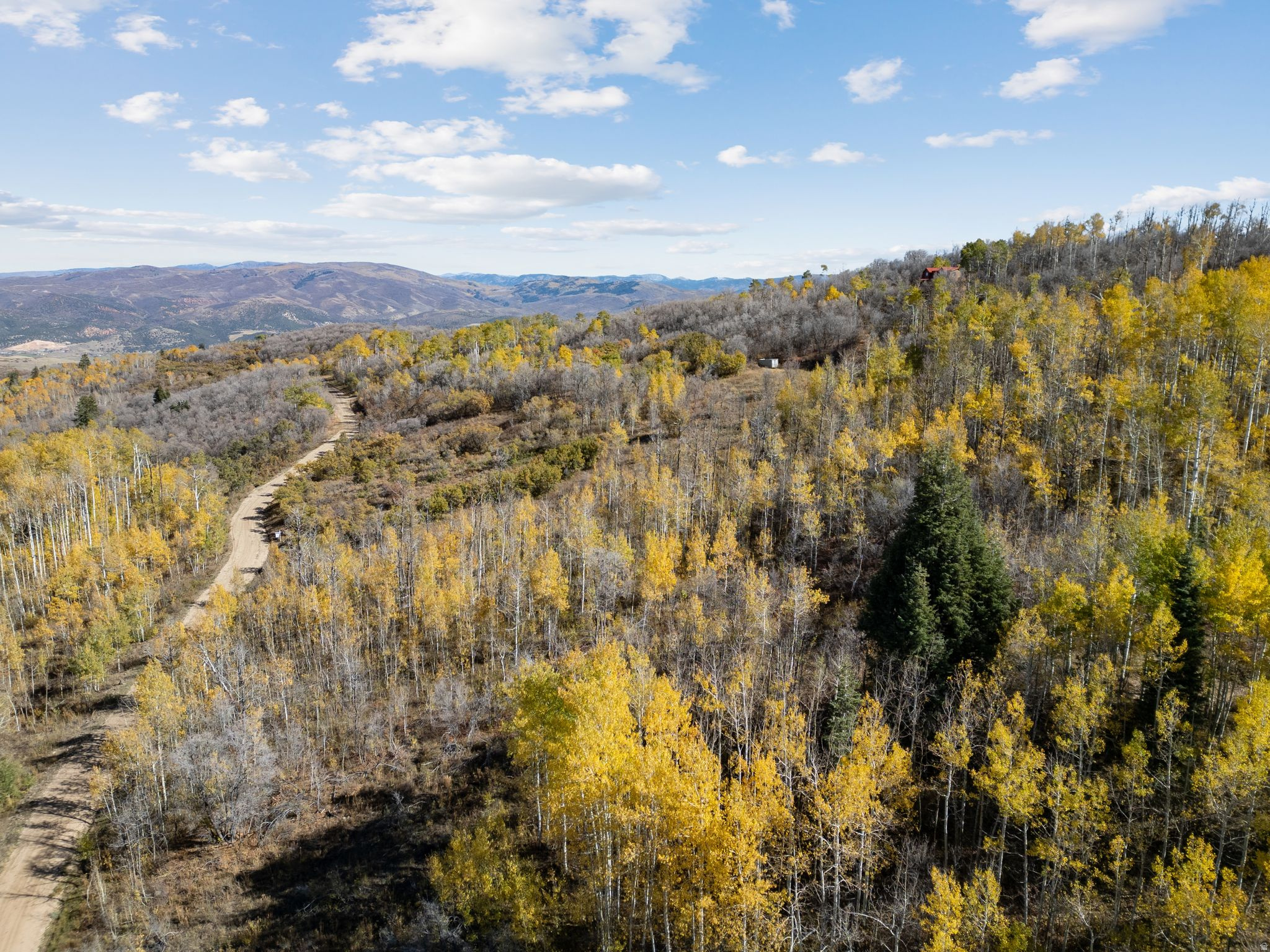 FOREST MEADOW RANCH SUBDIVISION - Land