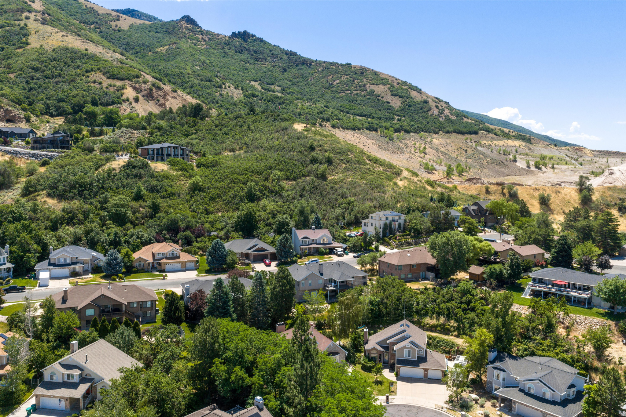 SNOW CANYON - Residential