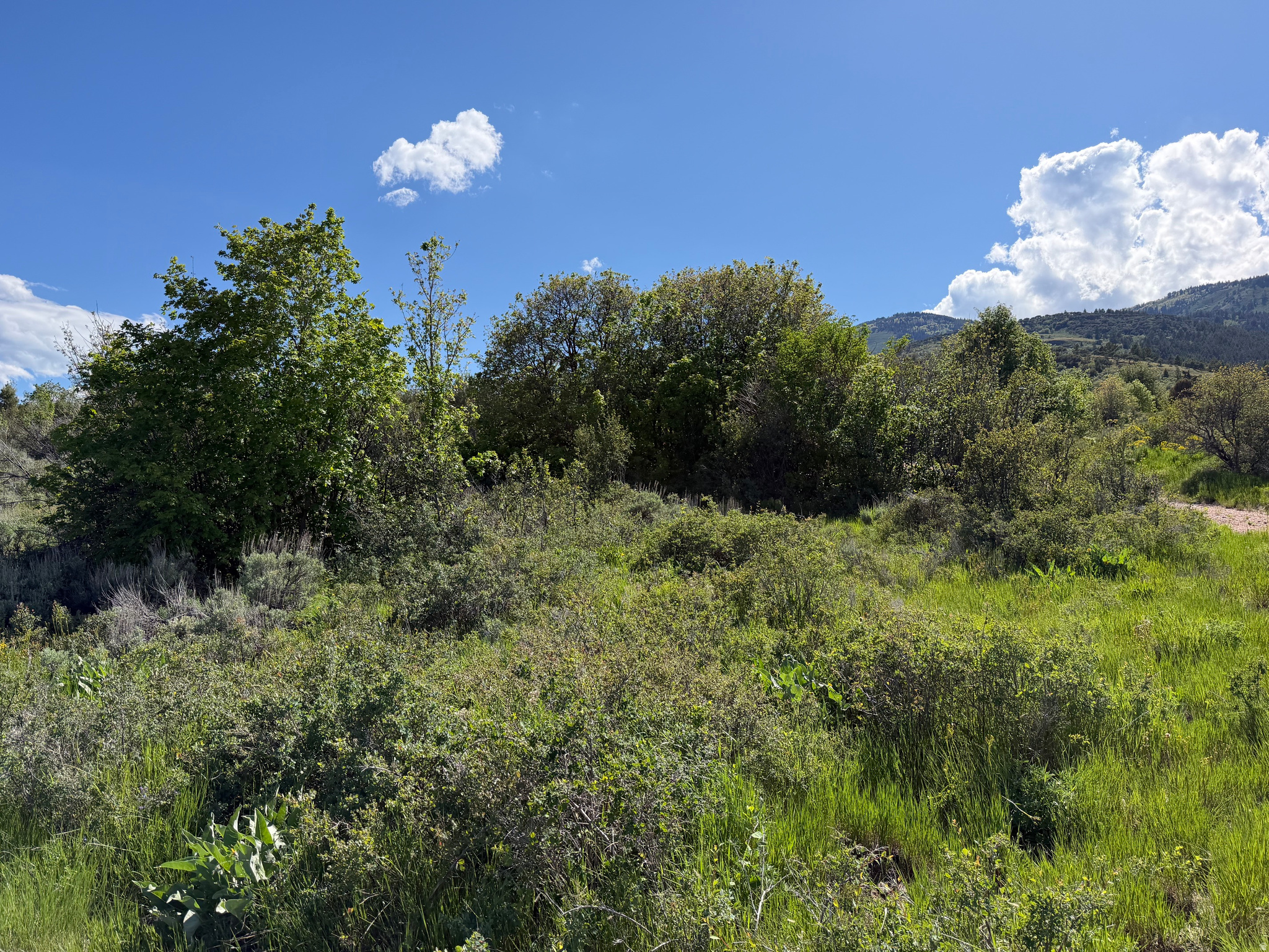 ELK HOLLOW RANCHES PH 1 - Land