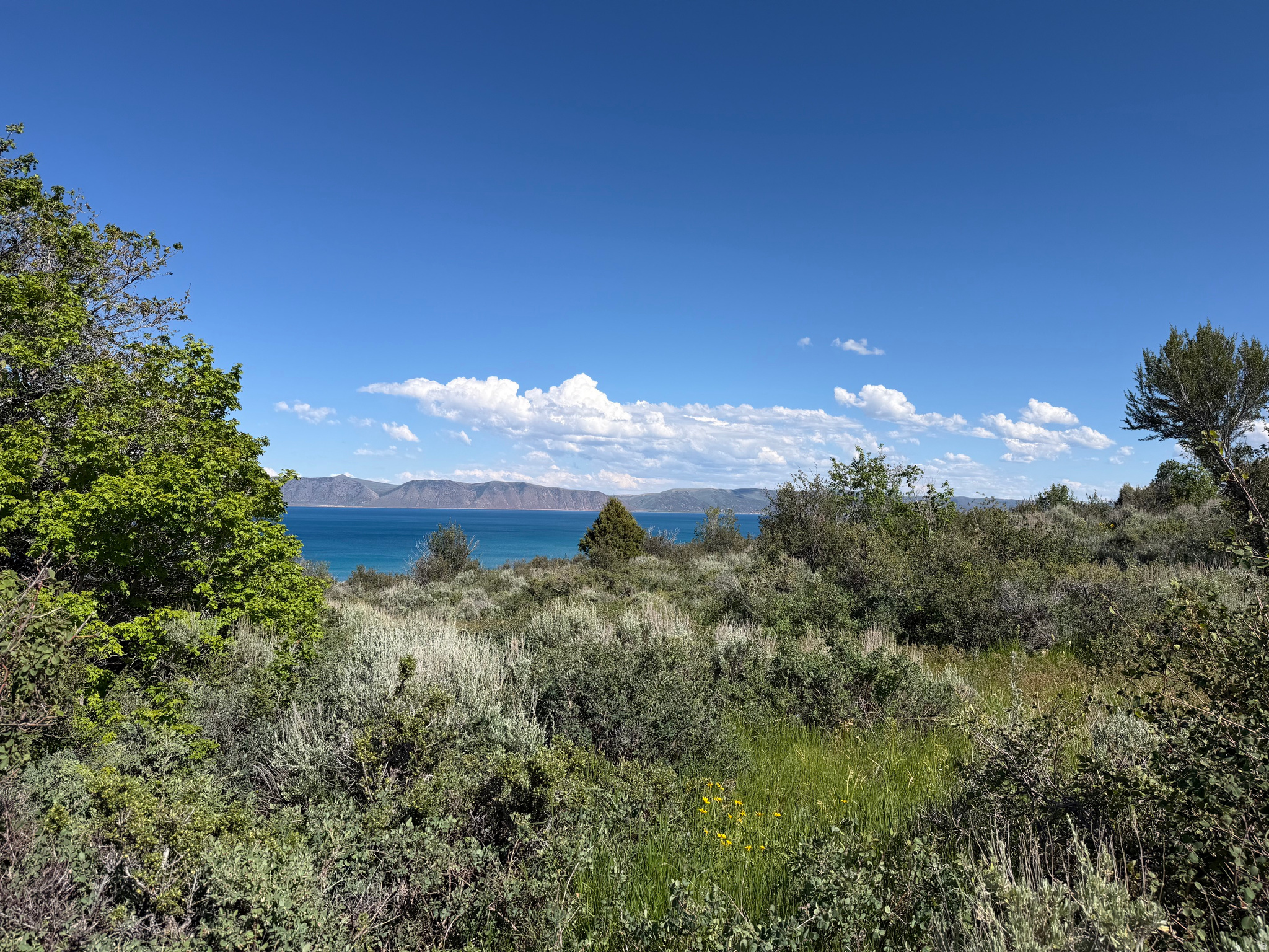 ELK HOLLOW RANCHES PH 1 - Land