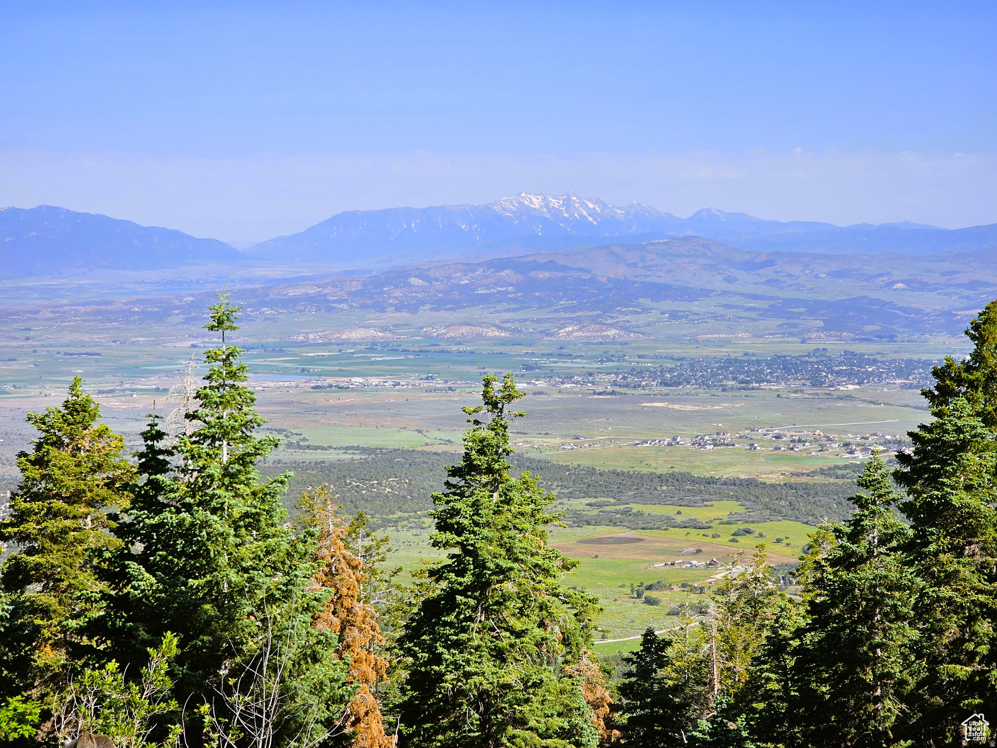 PINE RIDGE ESTATES - Land