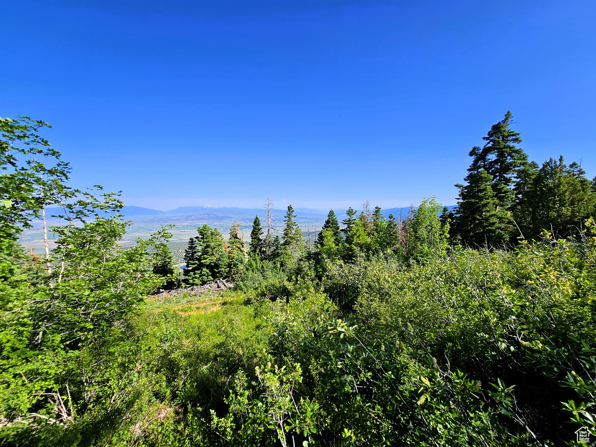 Mature Pine and aspen trees, power, water and wired internet with wonderful views towards the mountains and Skyline Drive and west across the valley with Mt. Nebo in the distance make this your perfect mountain retreat. Get away from it all and enjoy Mother Nature at her best. Cool, clean, crisp mountain air and star filled nights! Over five acres of land to develop as you'd like. Elevation is 8,413. Mt Pleasant is only 15 minutes away, mostly on a paved road, with restaurants, gas stations, hardware store with a lumber yard, grocery store, hospital, indoor community swimming pool and a drive-in theater. Gated community with an electronic access so no need to get out of your vehicle. Winter access is by tracked vehicles only. SHORT TERM RENTALS allowed. MLS Map is correct. Google Maps & Earth is 39.47085, -111.39900 Buyer to verify all information.
