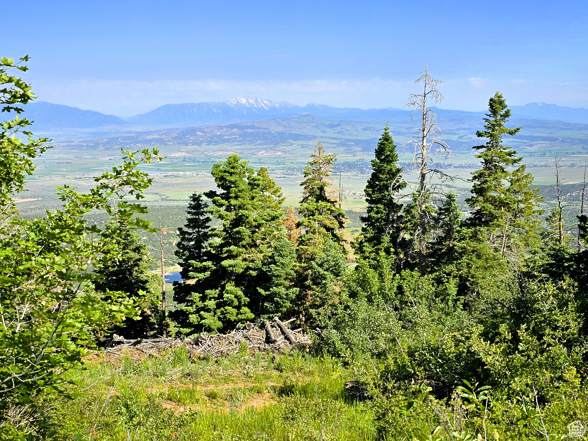 PINE RIDGE ESTATES - Land