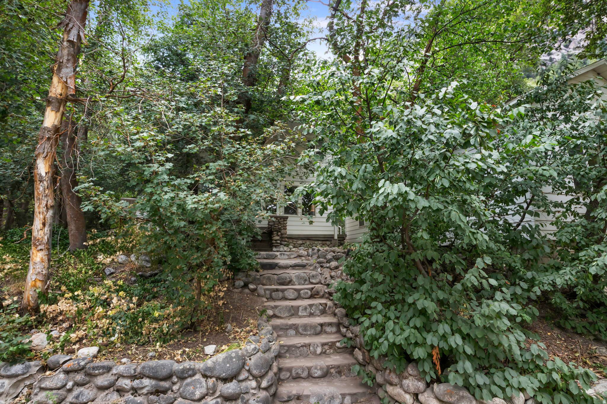 WASATCH RESORT - Residential