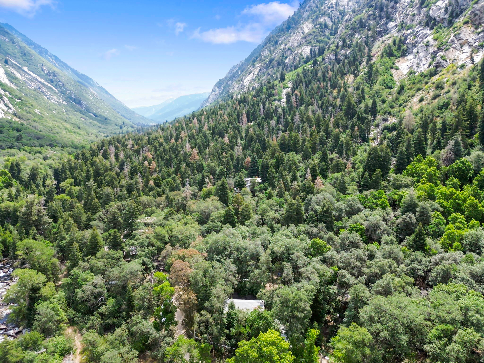 WASATCH RESORT - Residential