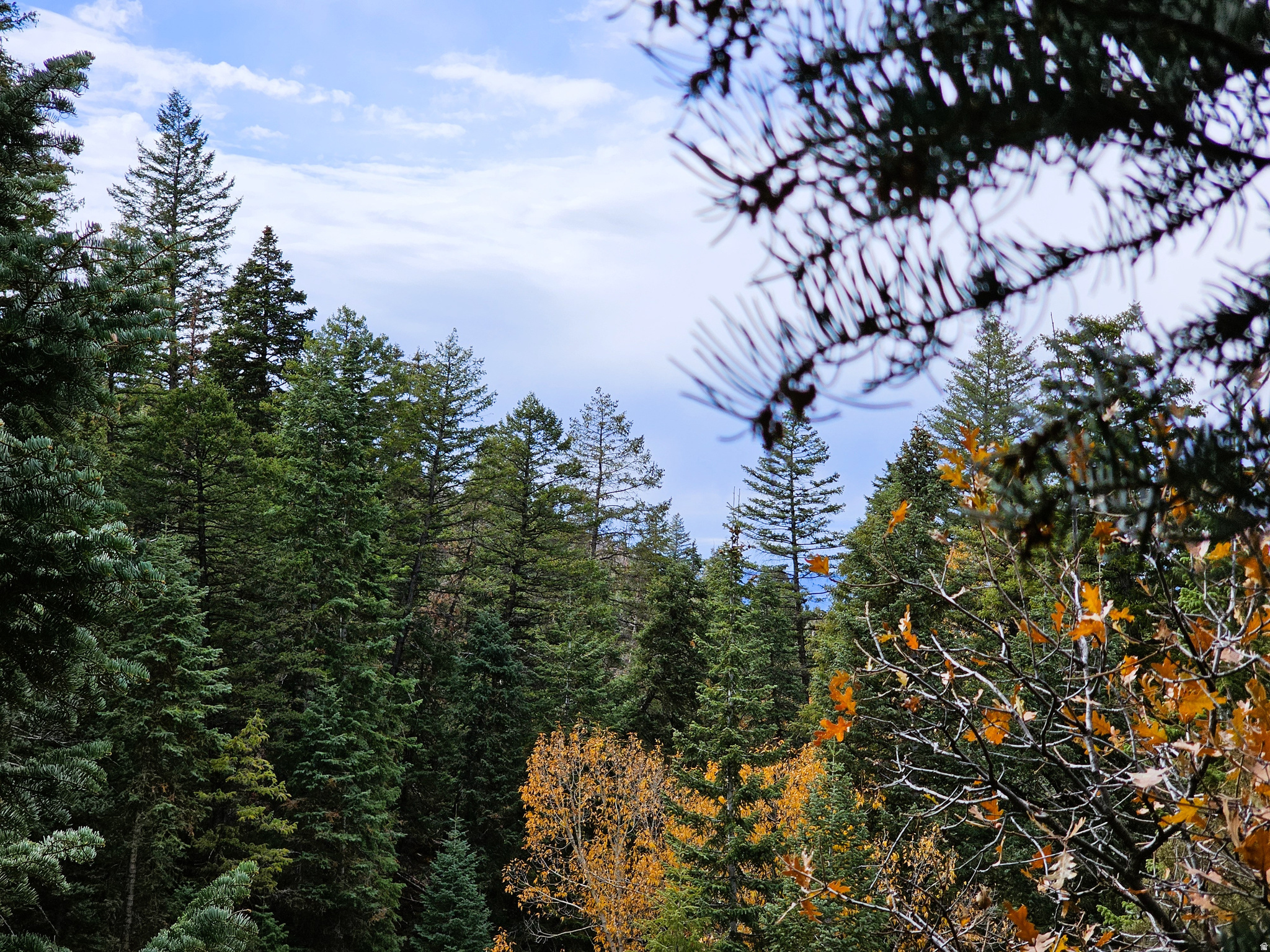 PINE CREEK RANCH VISTA SUBDIVISION - Residential