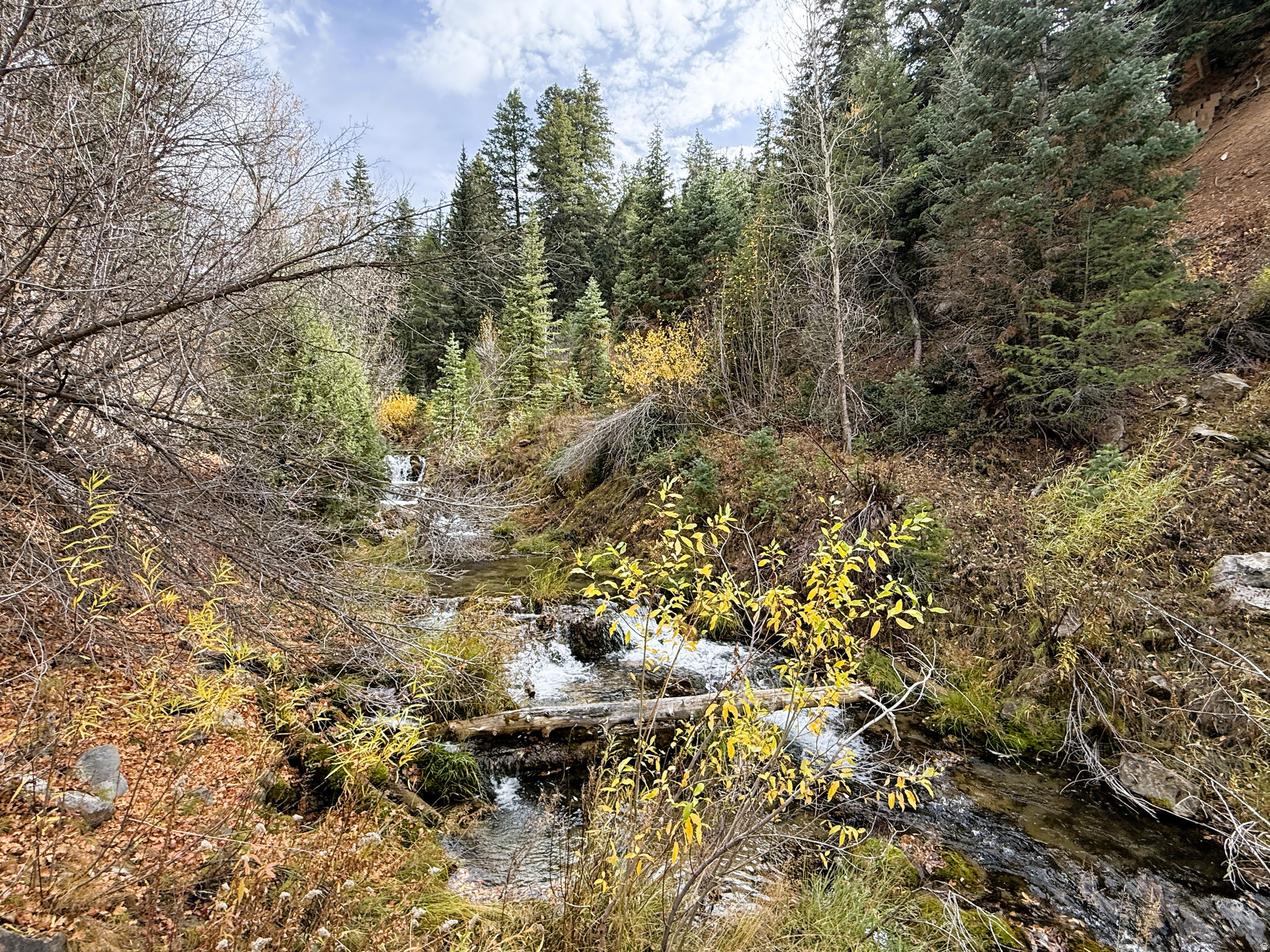 PINE CREEK RANCH VISTA SUBDIVISION - Residential