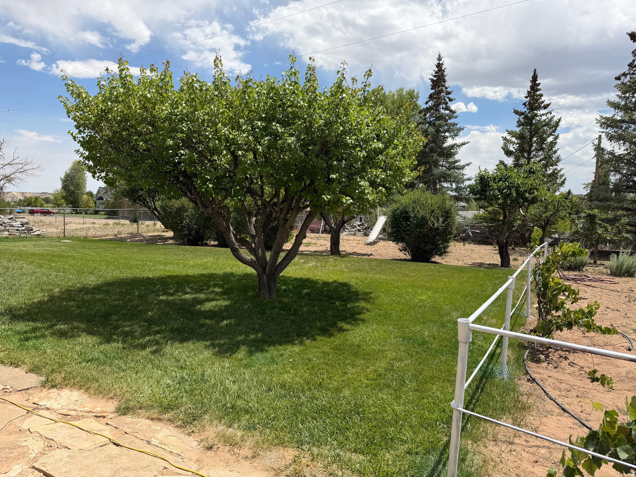 DICKERSON - Residential