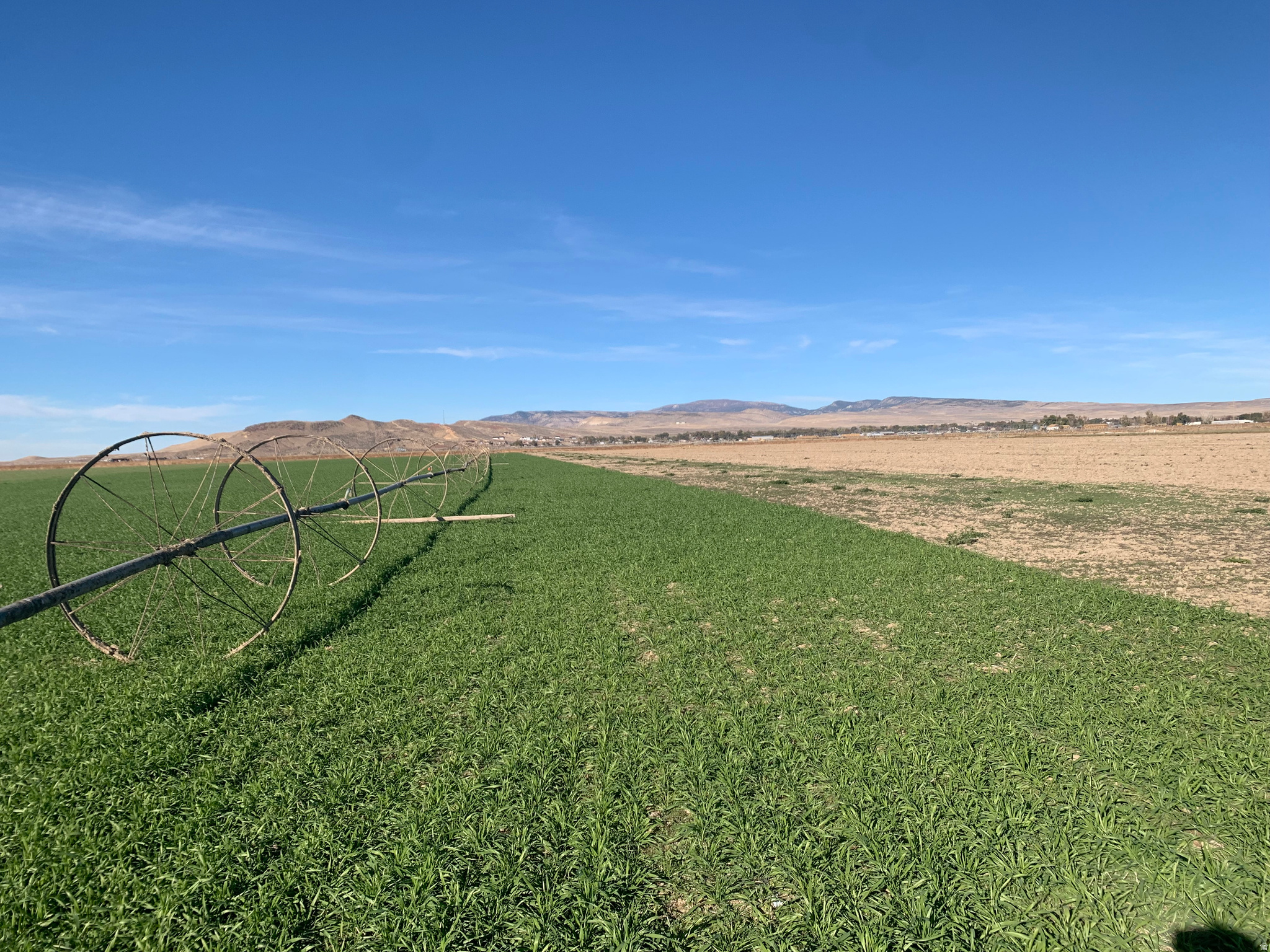 MARIANNE ESTATES - Land