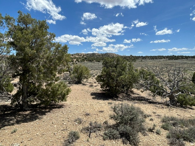 105 acres for $88,000, just $838 per acre. This is 2 separate lots, so you could have 2 cabins or homes on this parcel. Located 15 minutes south of Duchesne in Silver Moon Ranches. Property has good access, but there is no water or power available. Owner will sell the parcels separately.