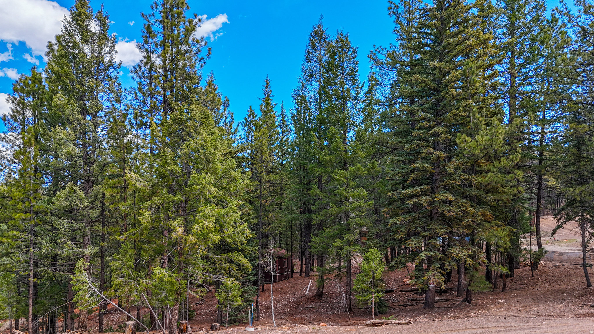 SWAINS CREEK - Land