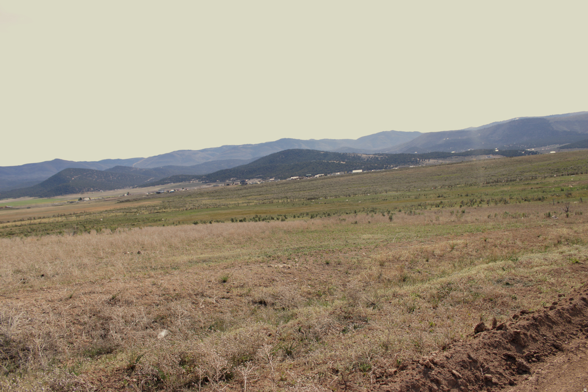 ELK MEADOWS - Land