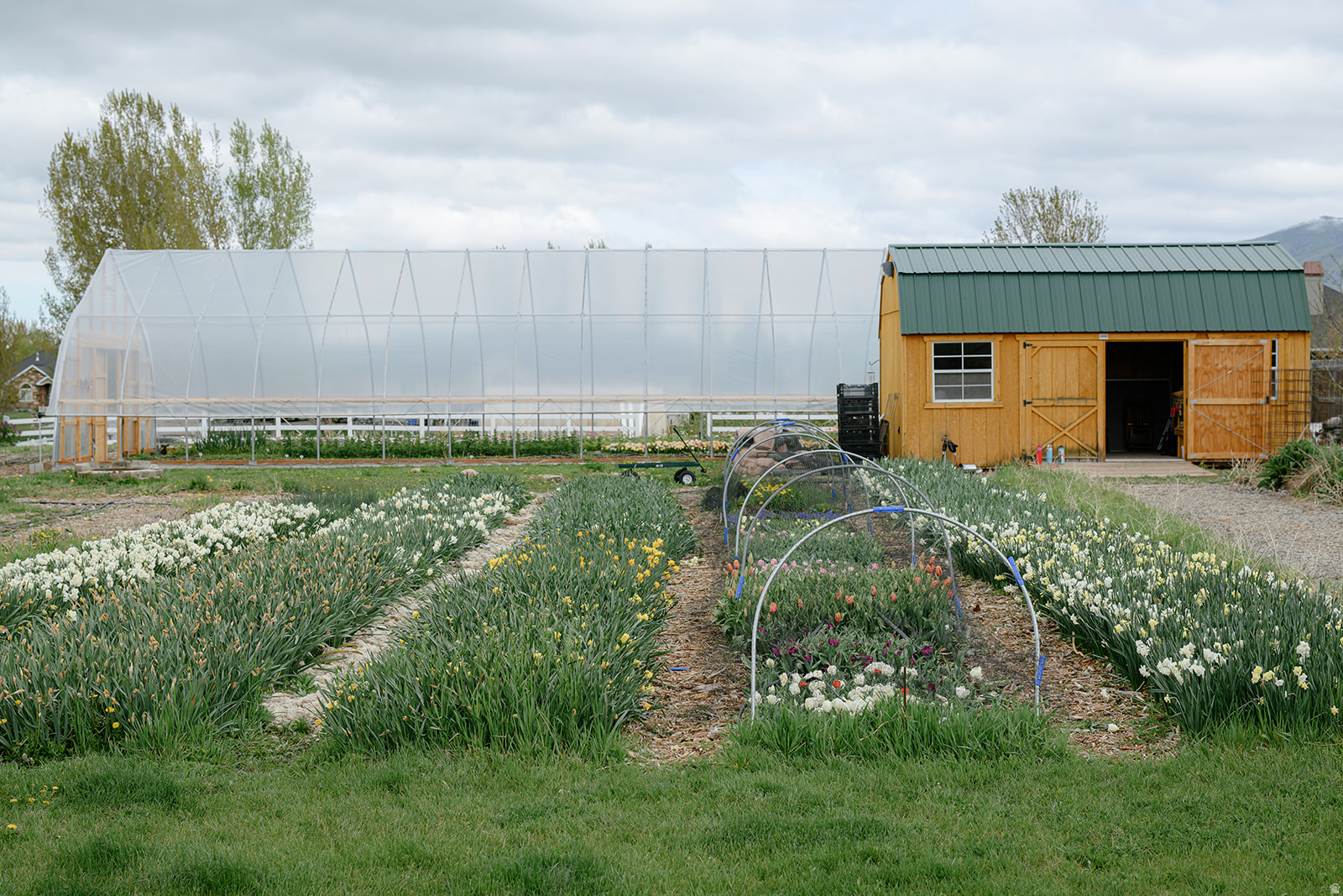 PARADISE ESTATES - Residential
