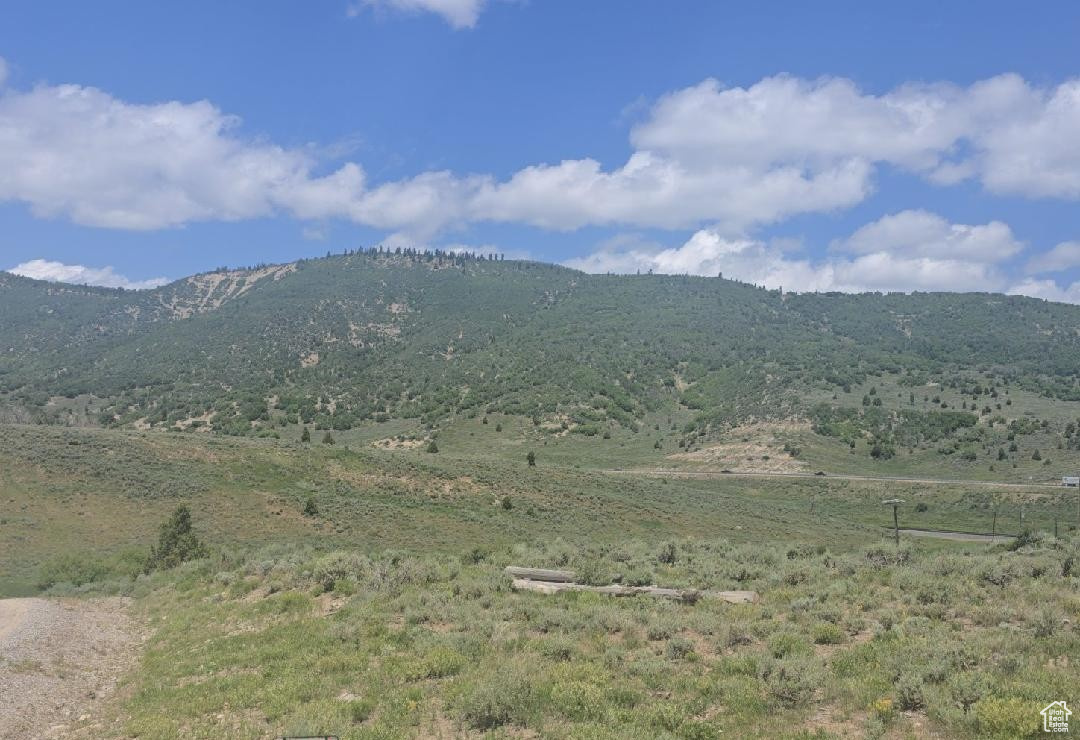 This beautiful 7.75-acre lot comes with plenty of opportunity and potential. Could be used for horse property, recreation, or an out-of-town getaway. Build your own cabin away from the city! Enjoy your own natural wetland/marsh. This property is in the Greenbelt. Buyer to verify all lot lines, dimensions, utilities, and restrictions.