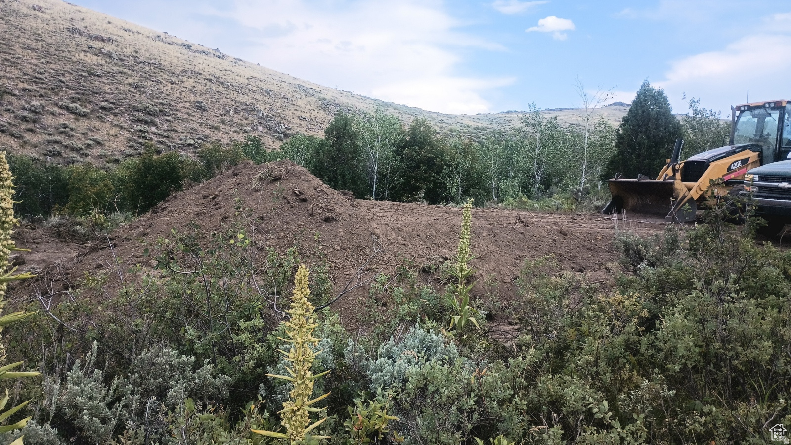 RANCH COMMUNITY AT BLEAB BEAR - Land