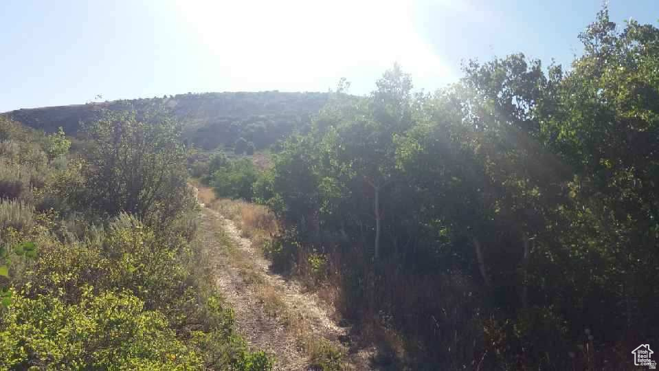 RANCH COMMUNITY AT BLEAB BEAR - Land