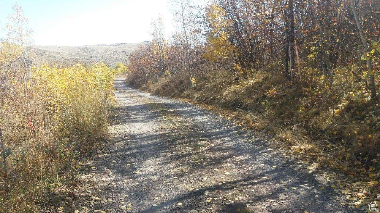 RANCH COMMUNITY AT BLEAB BEAR - Land