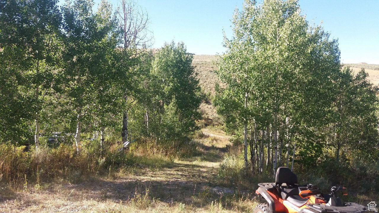 RANCH COMMUNITY AT BLEAB BEAR - Land