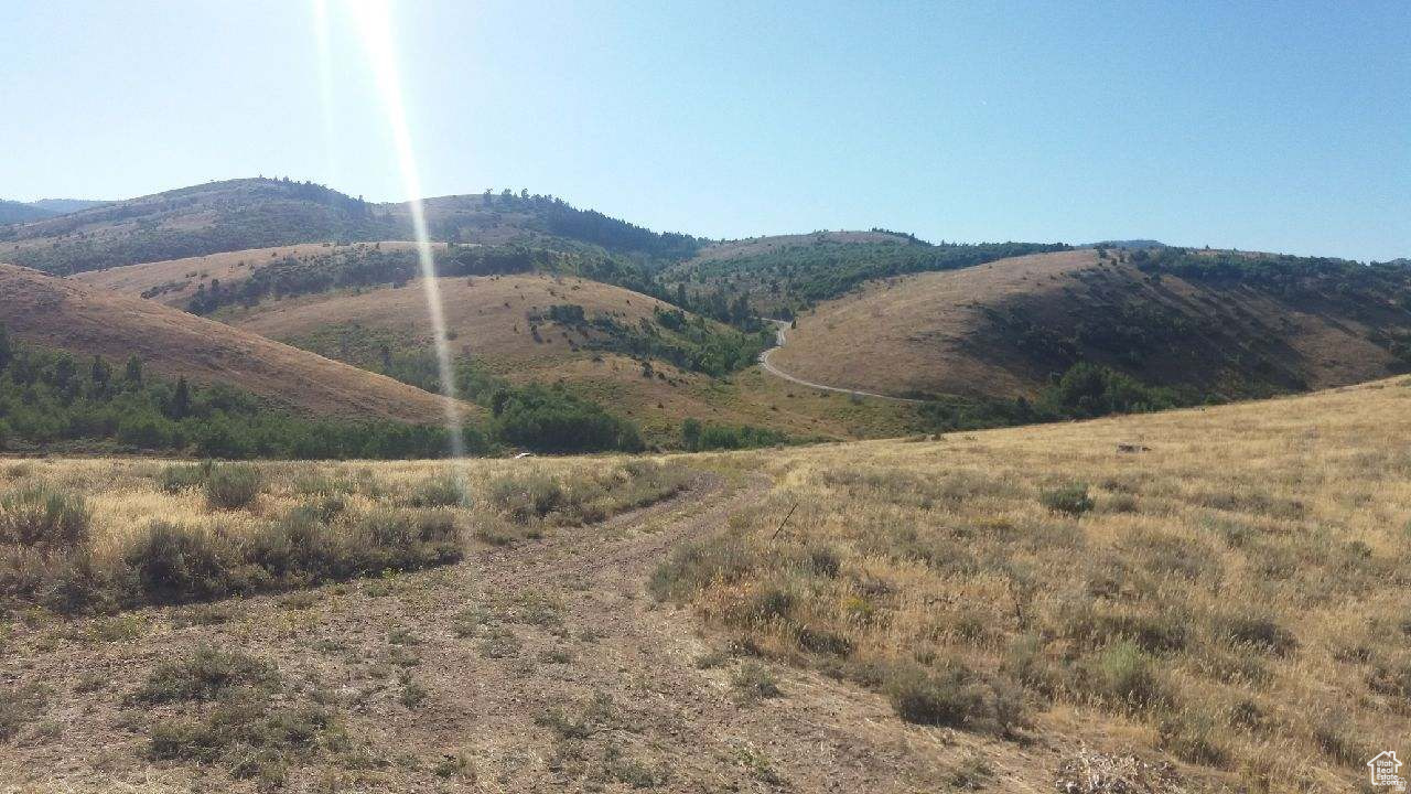 RANCH COMMUNITY AT BLEAB BEAR - Land